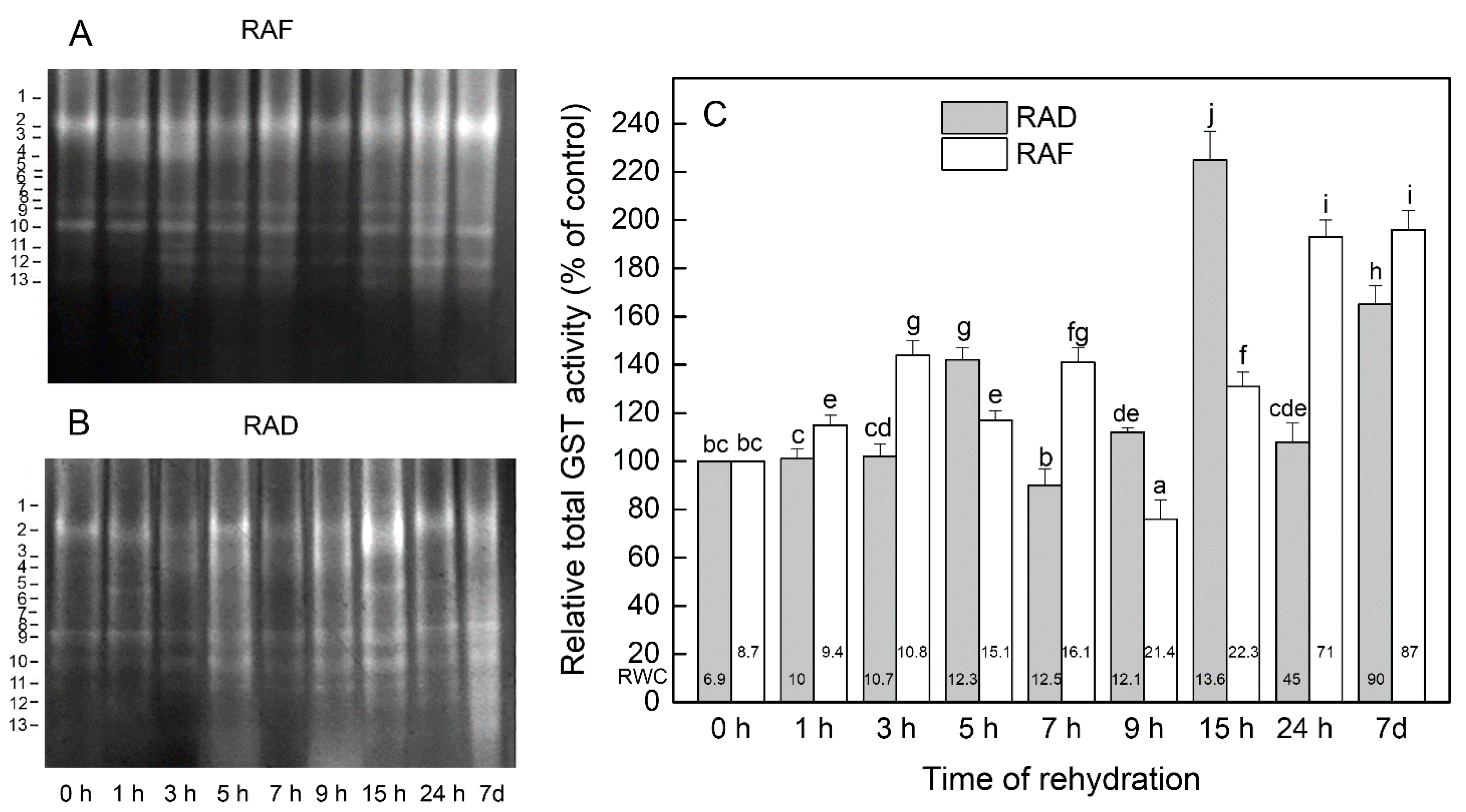 Plants 11 00175 g006