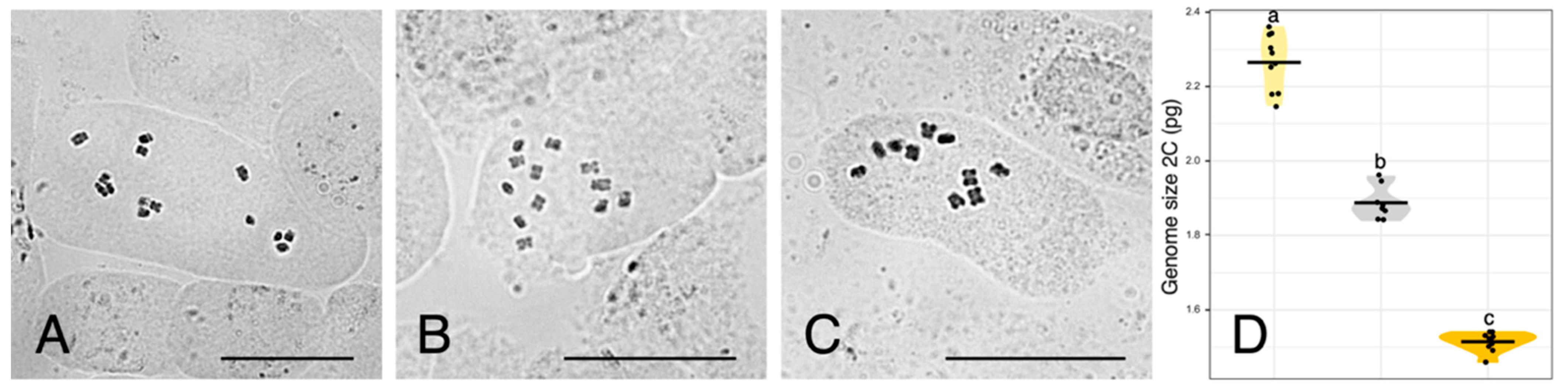 Plants 11 00182 g002