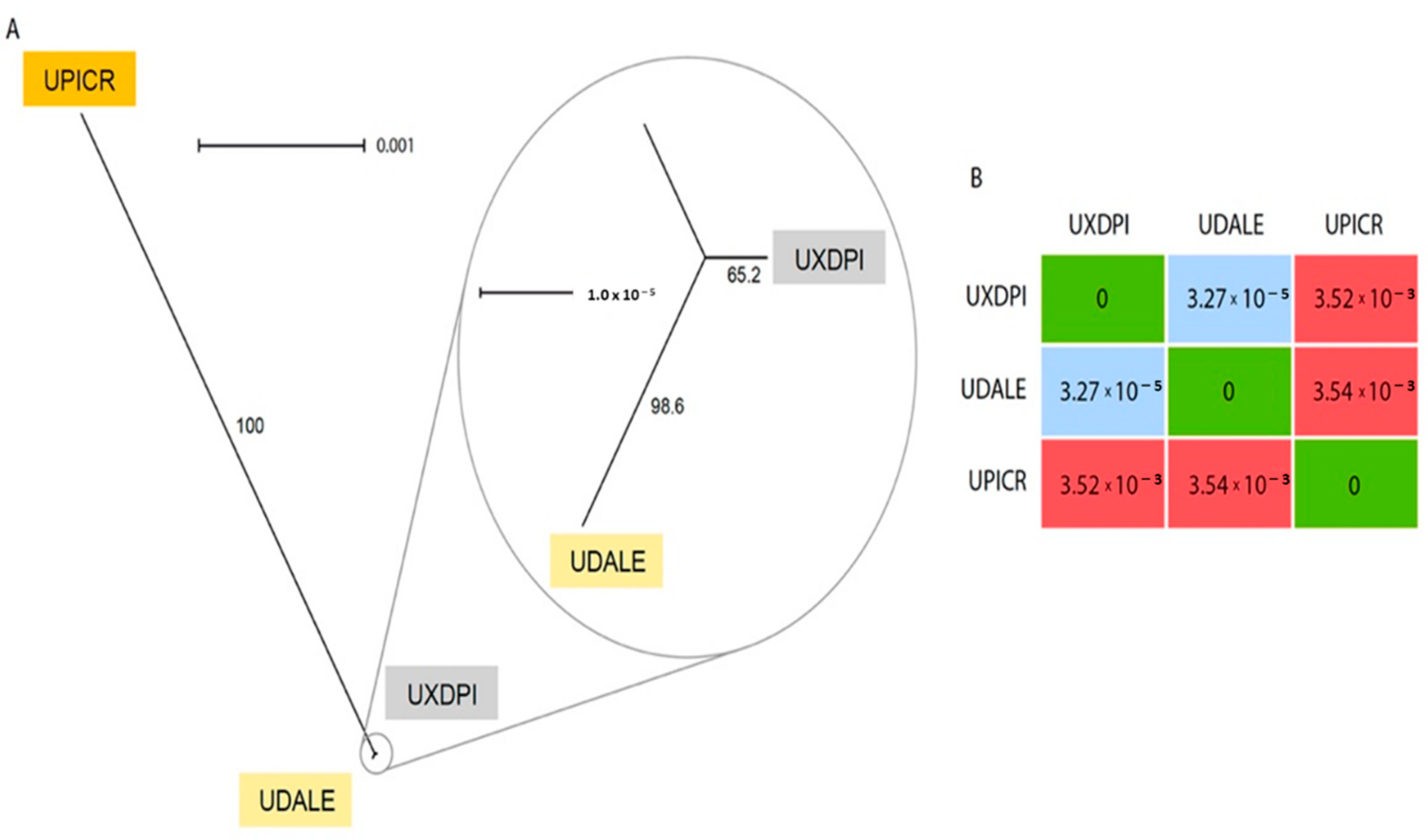 Plants 11 00182 g004