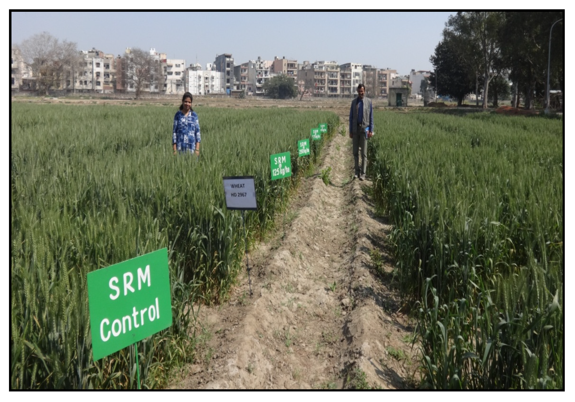 Plants 11 00183 g003 Plants 11 00183 g003