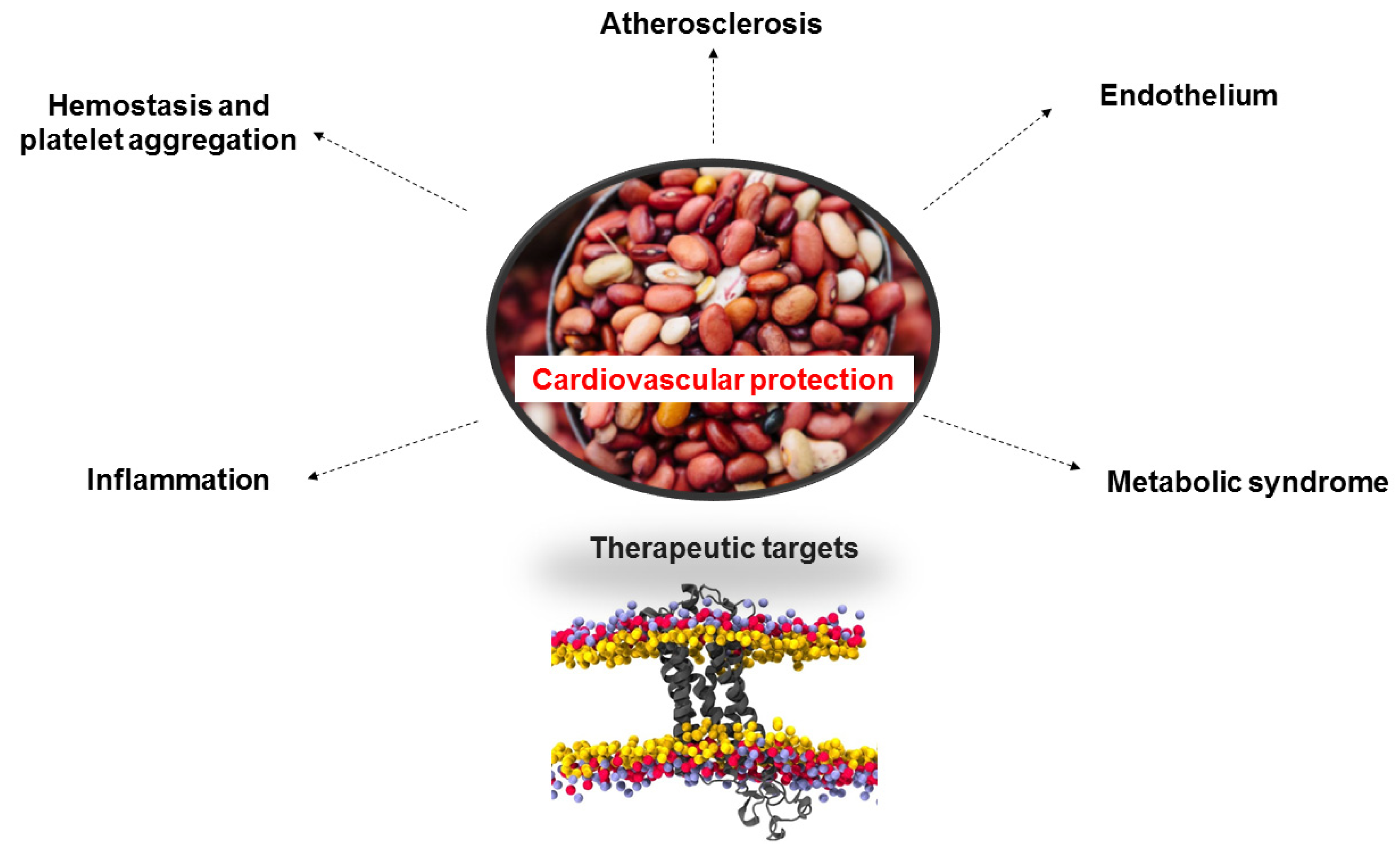 Plants 11 00186 g004