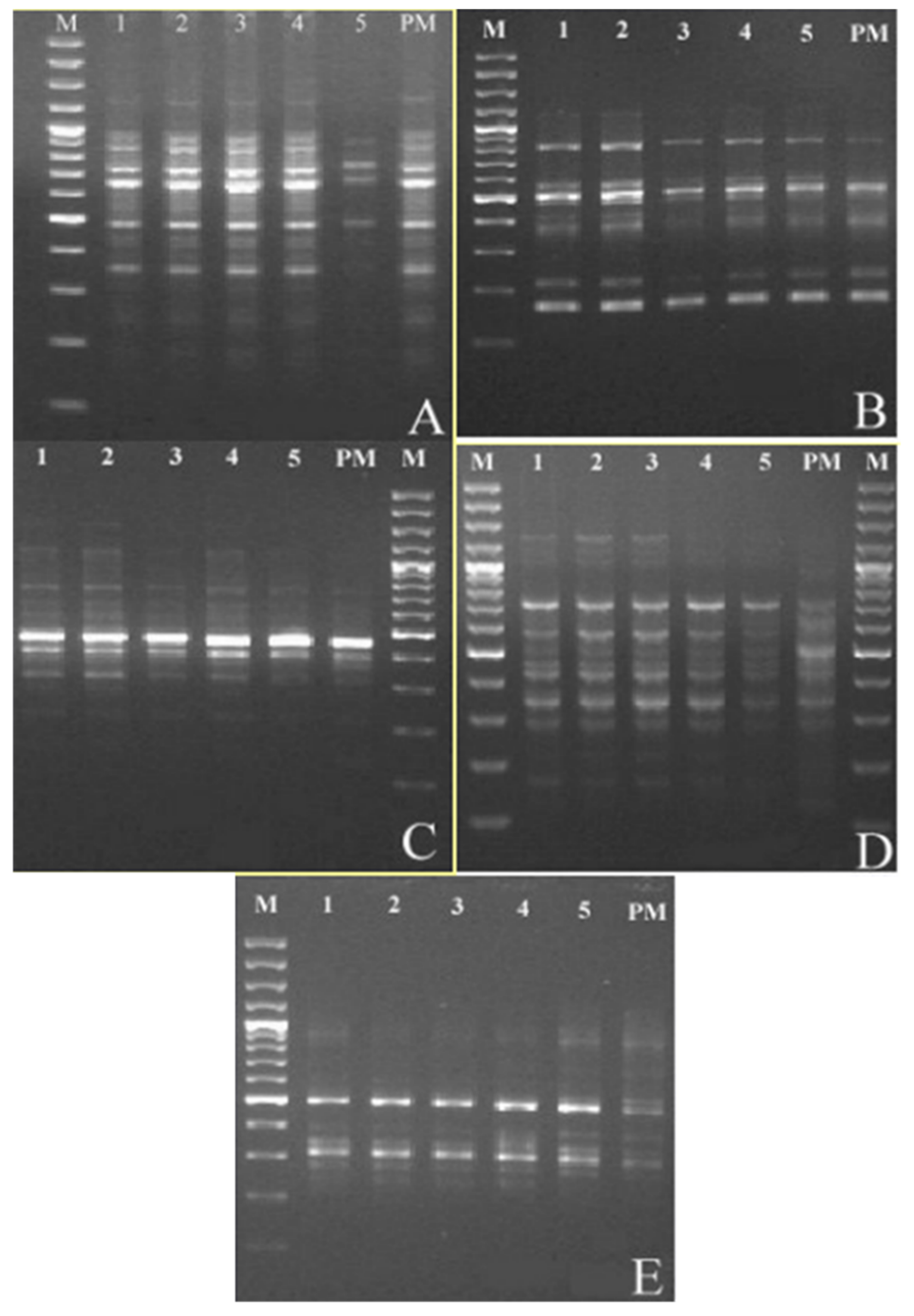 Plants 11 00187 g004