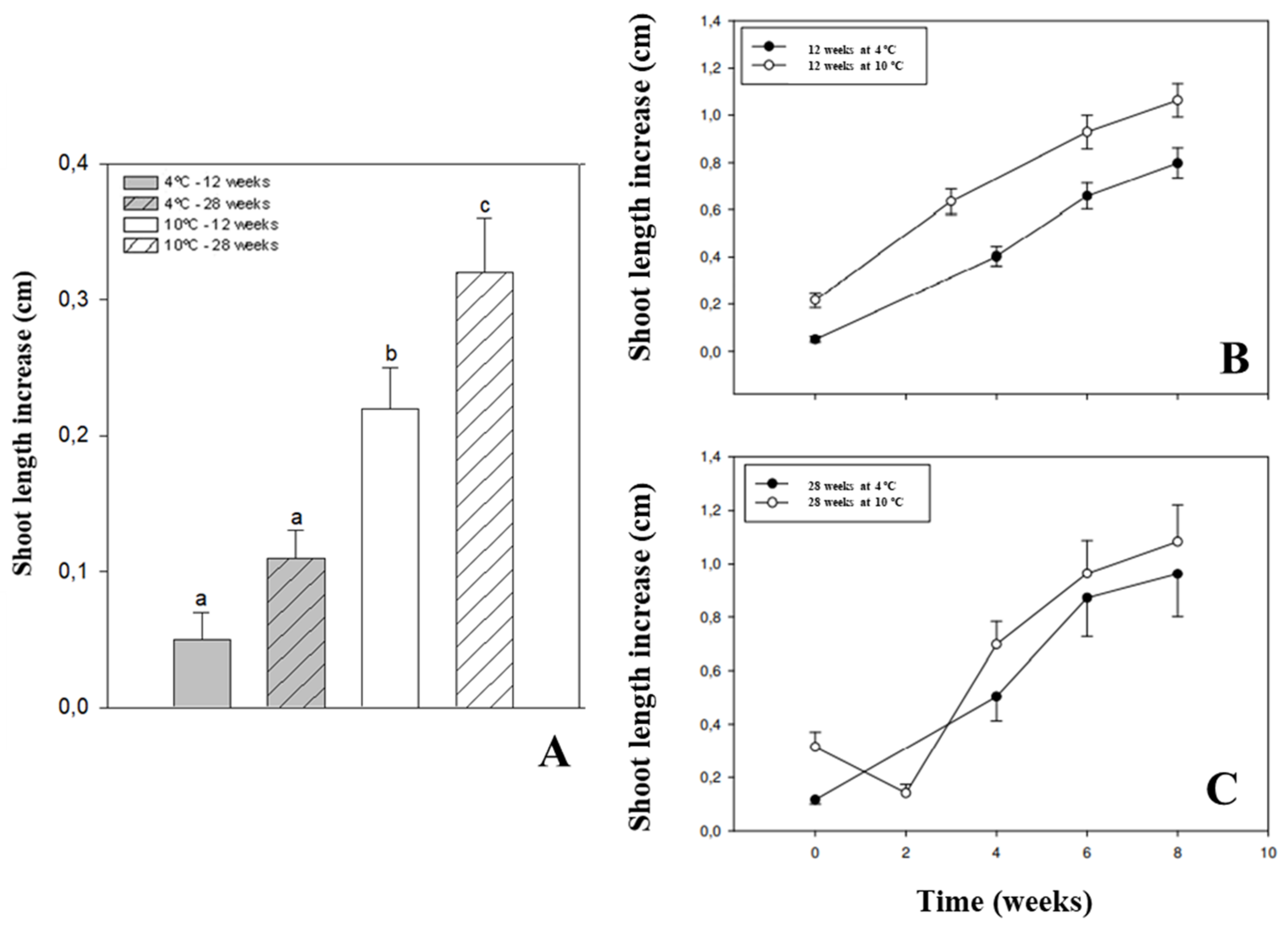 Plants 11 00187 g005