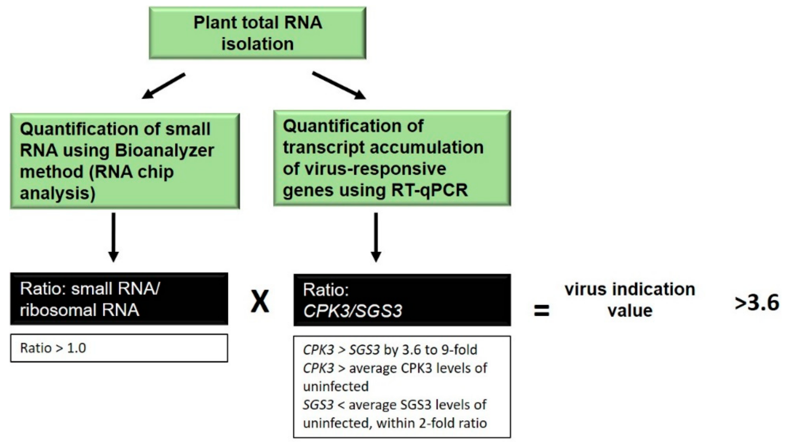 Plants 11 00188 g006