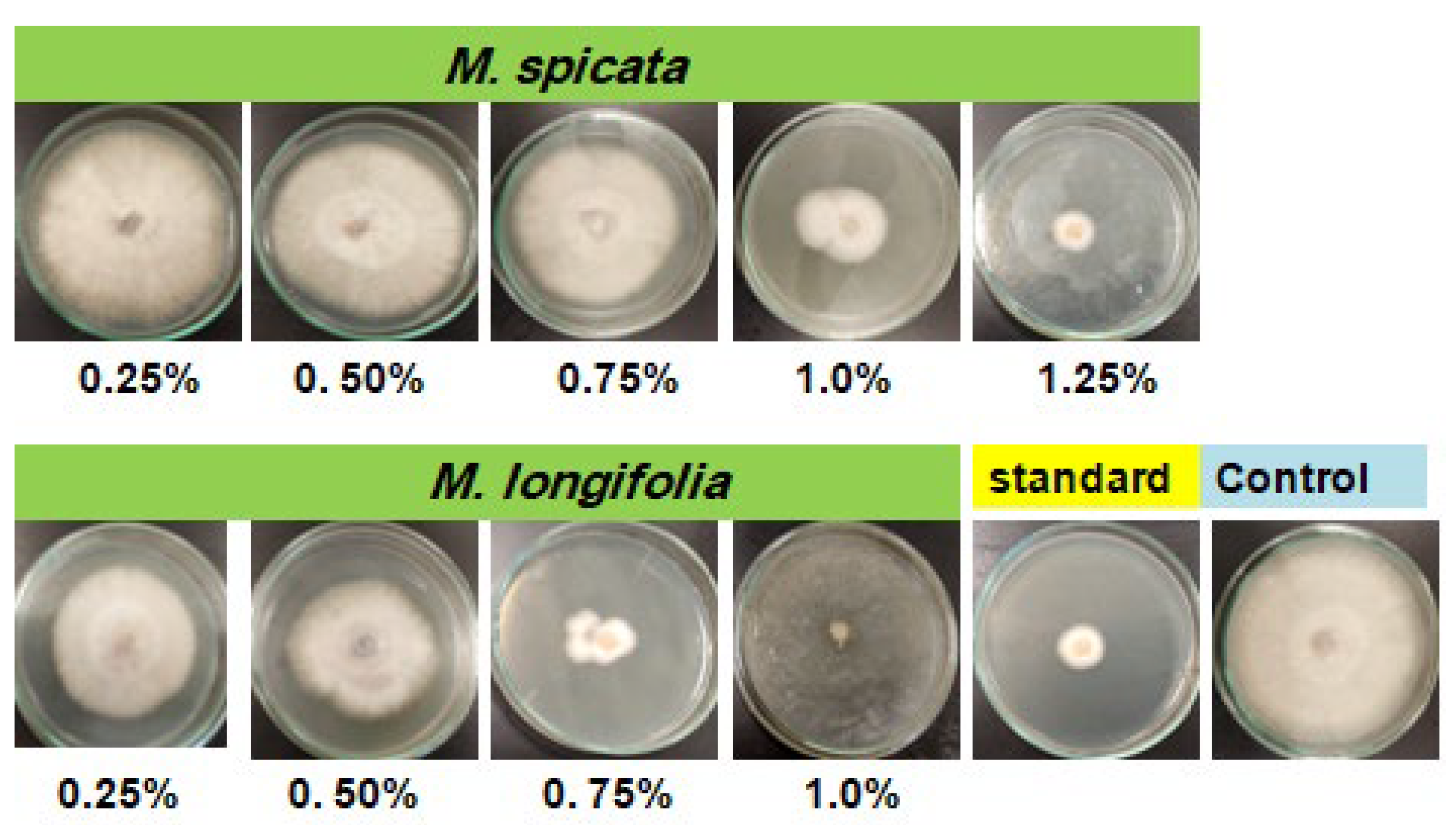 Plants 11 00189 g001