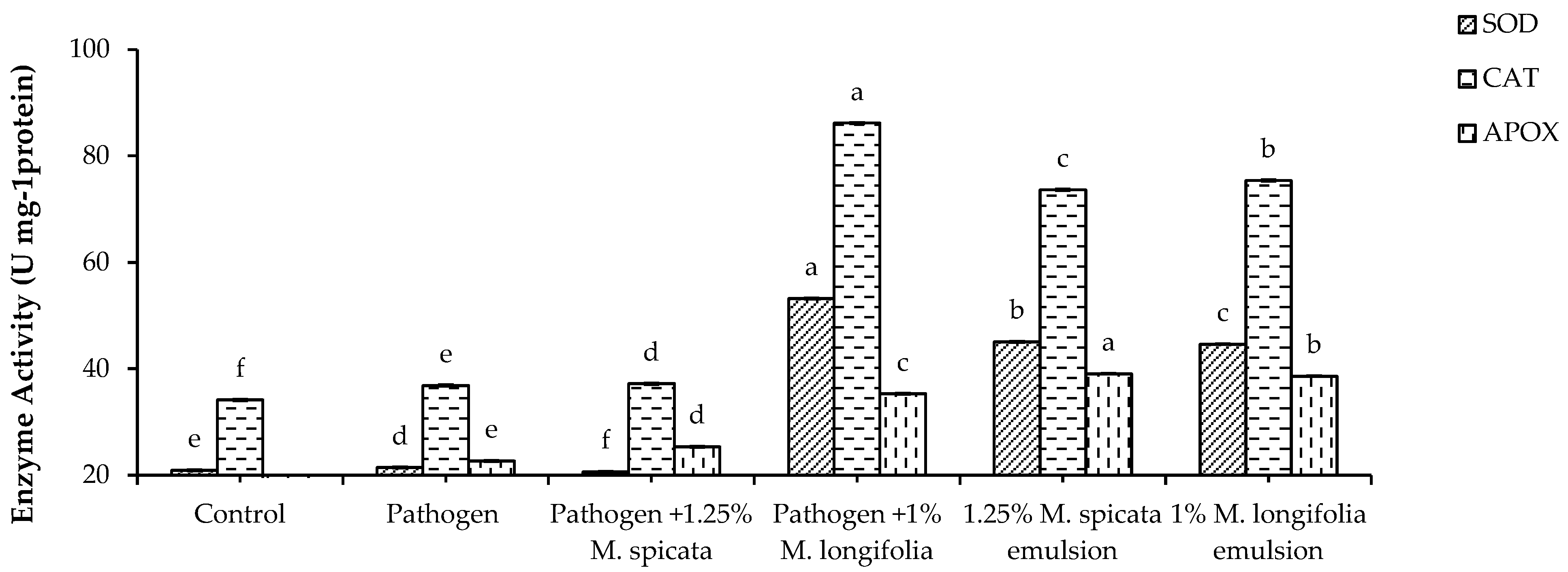 Plants 11 00189 g008