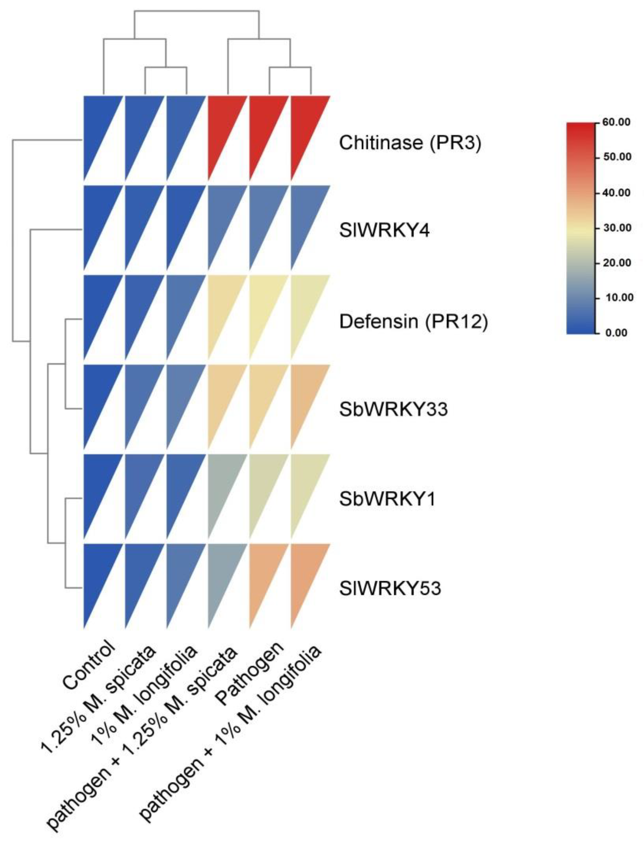 Plants 11 00189 g009