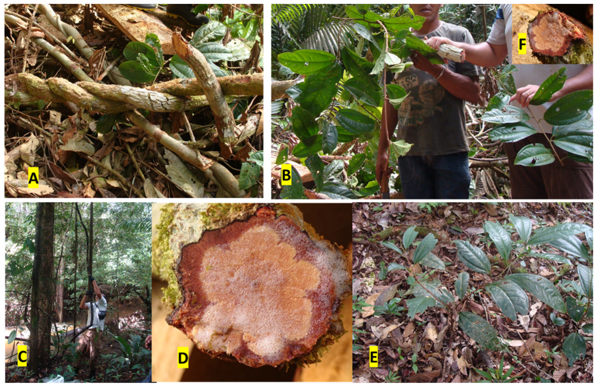 Plants 11 00191 g001