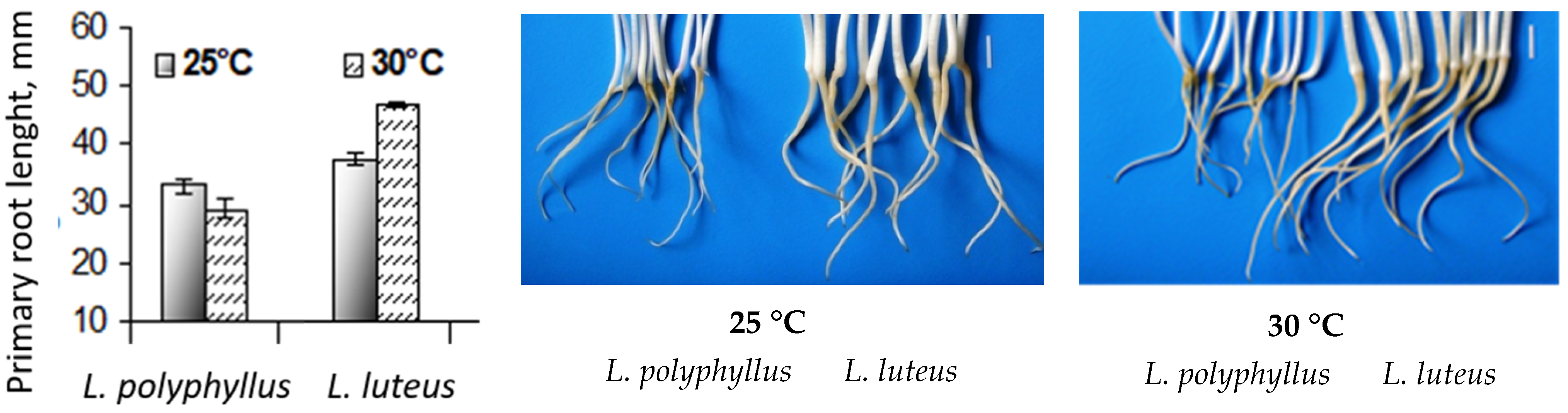 Plants 11 00192 g003