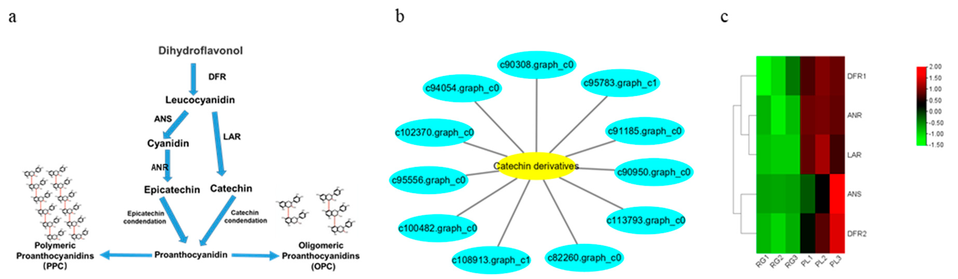Plants 11 00211 g007