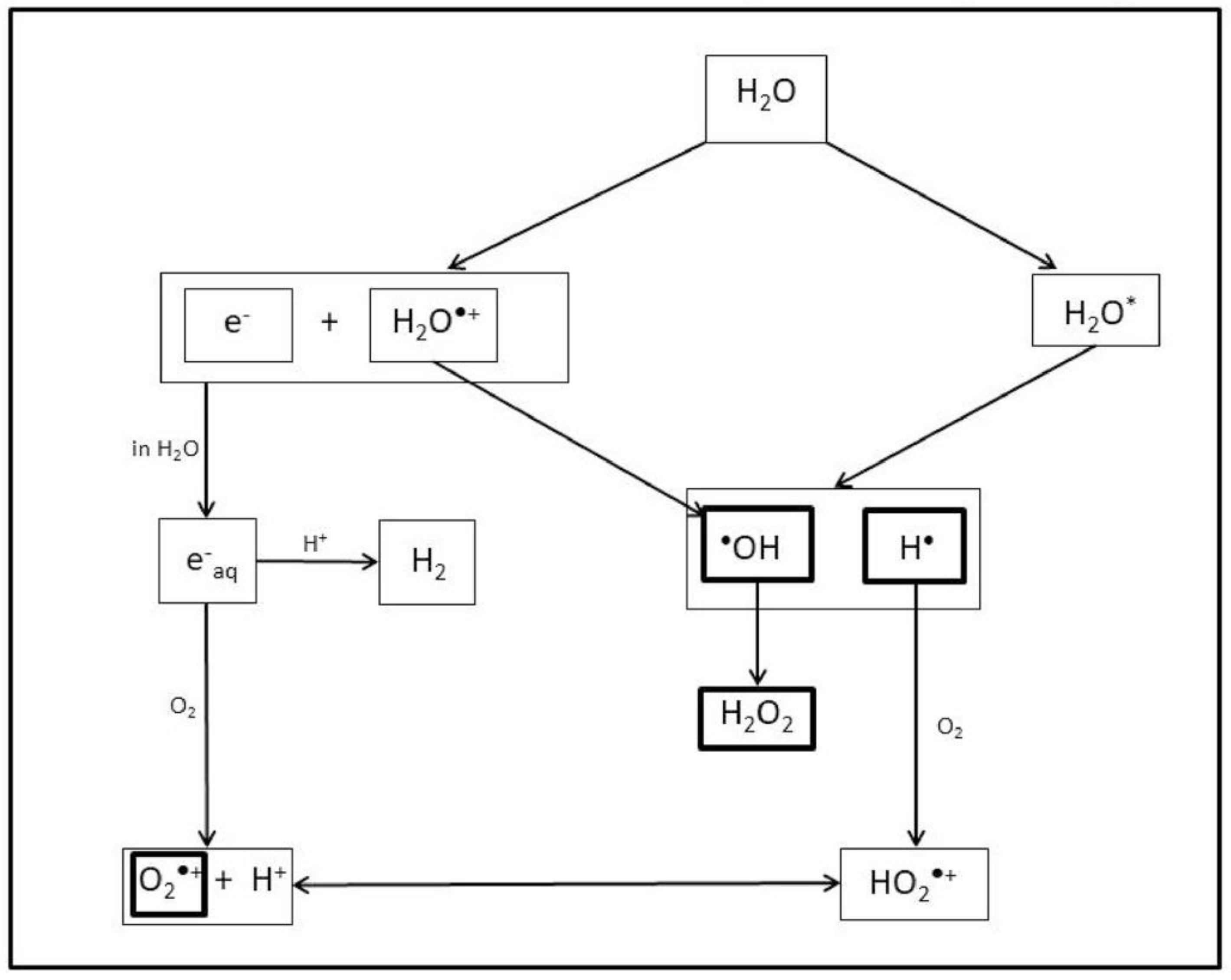 Plants 11 00222 g001