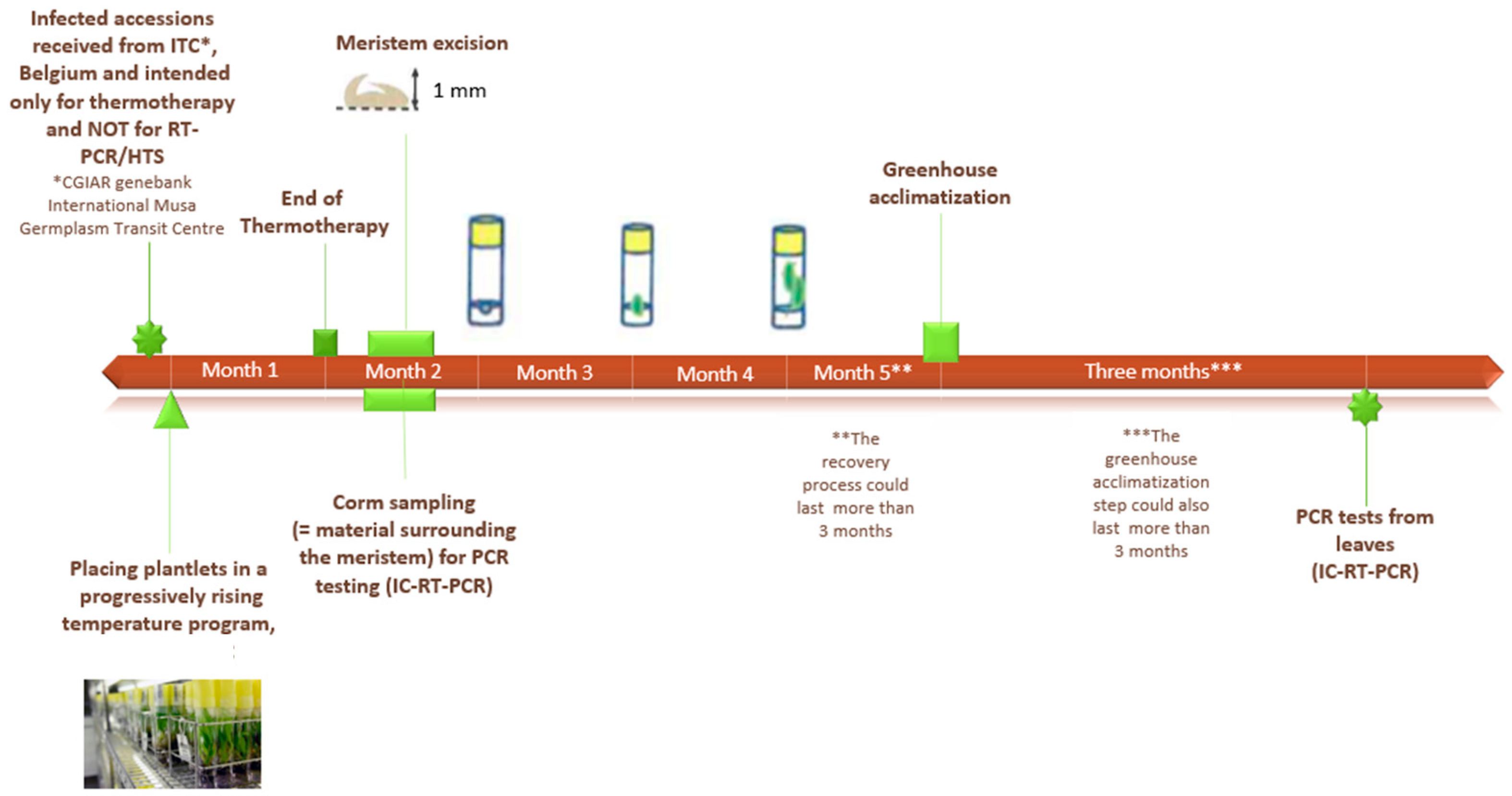 Plants 11 00226 g001