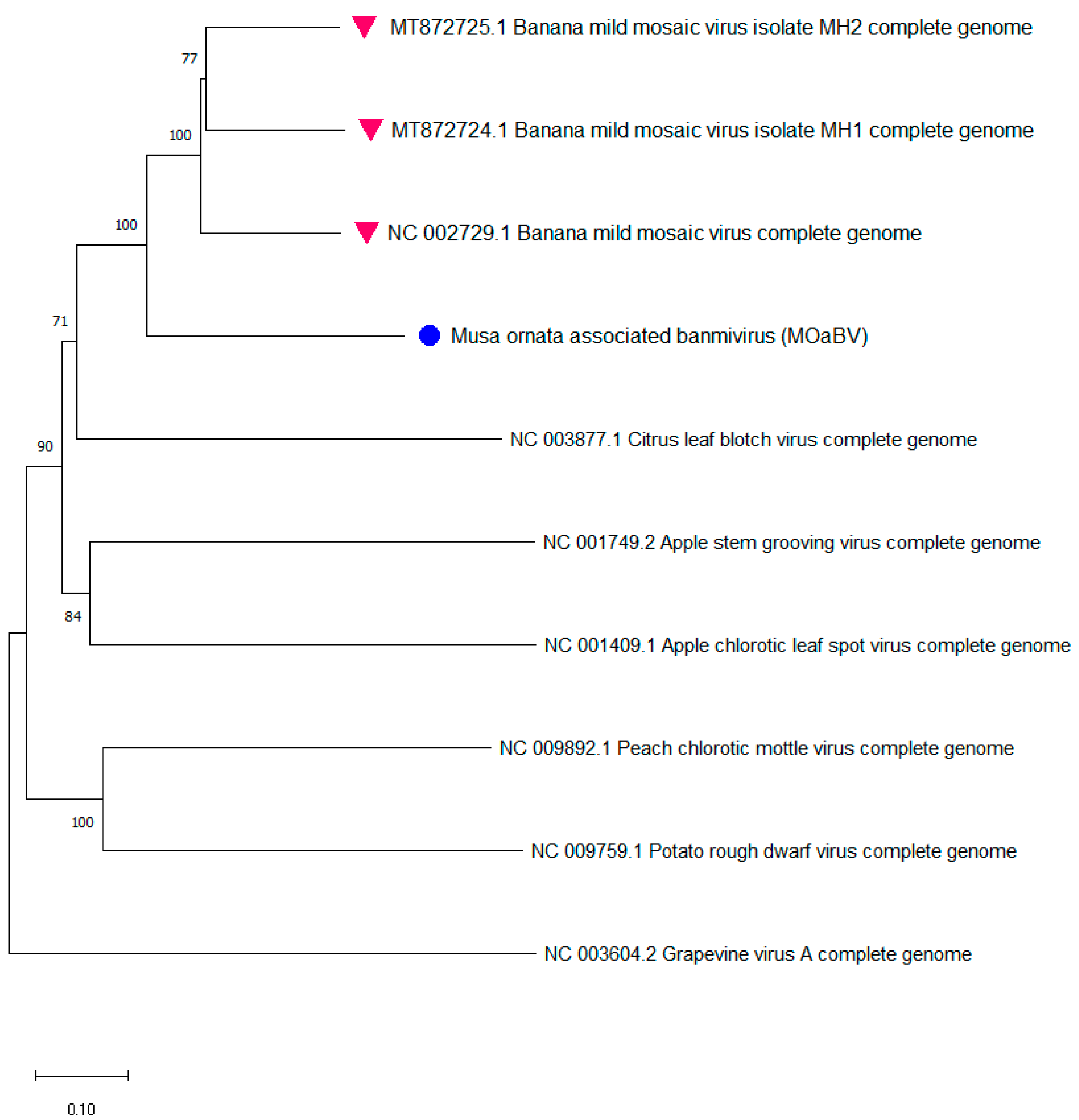 Plants 11 00226 g004