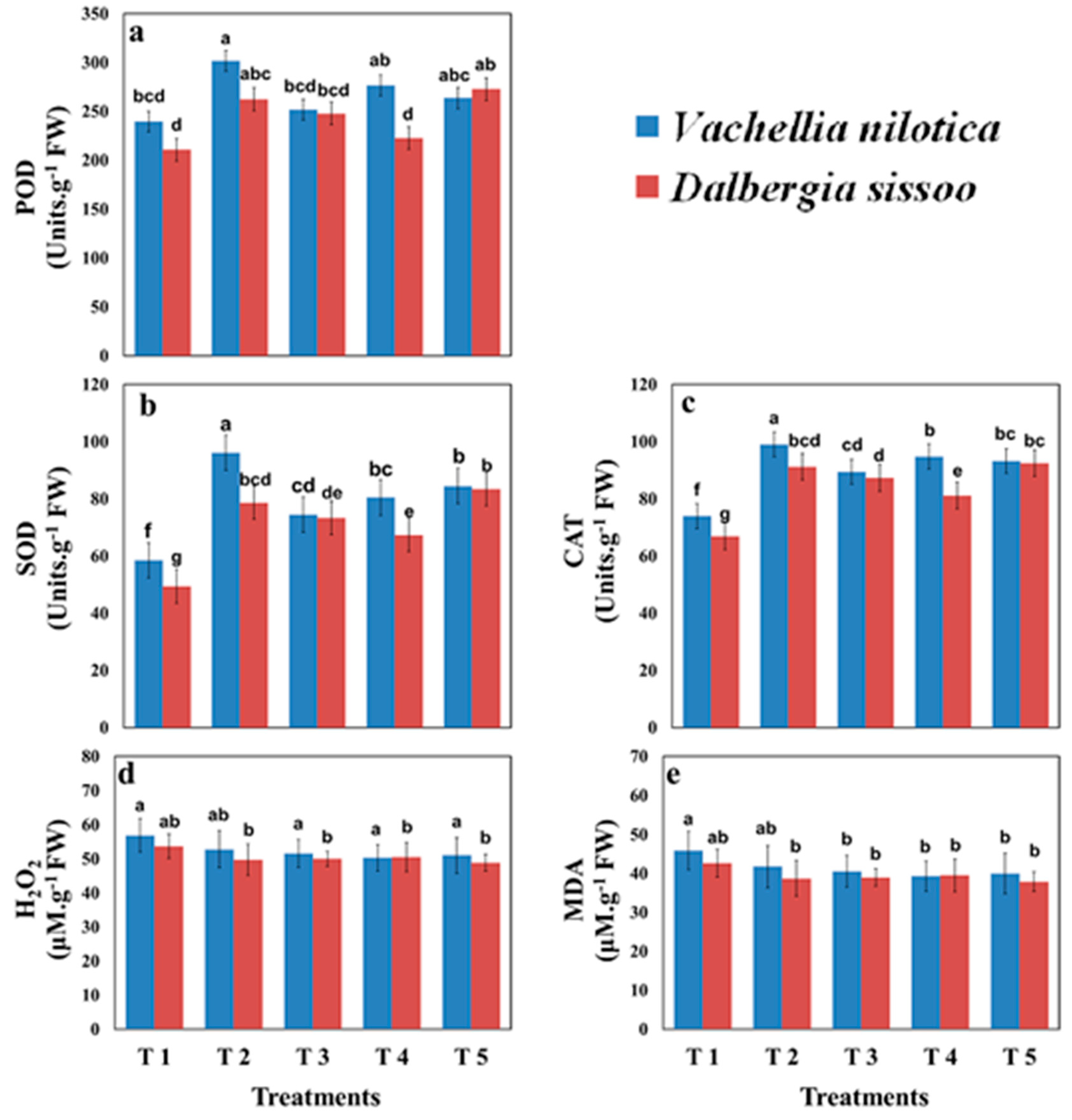 Plants 11 00228 g004