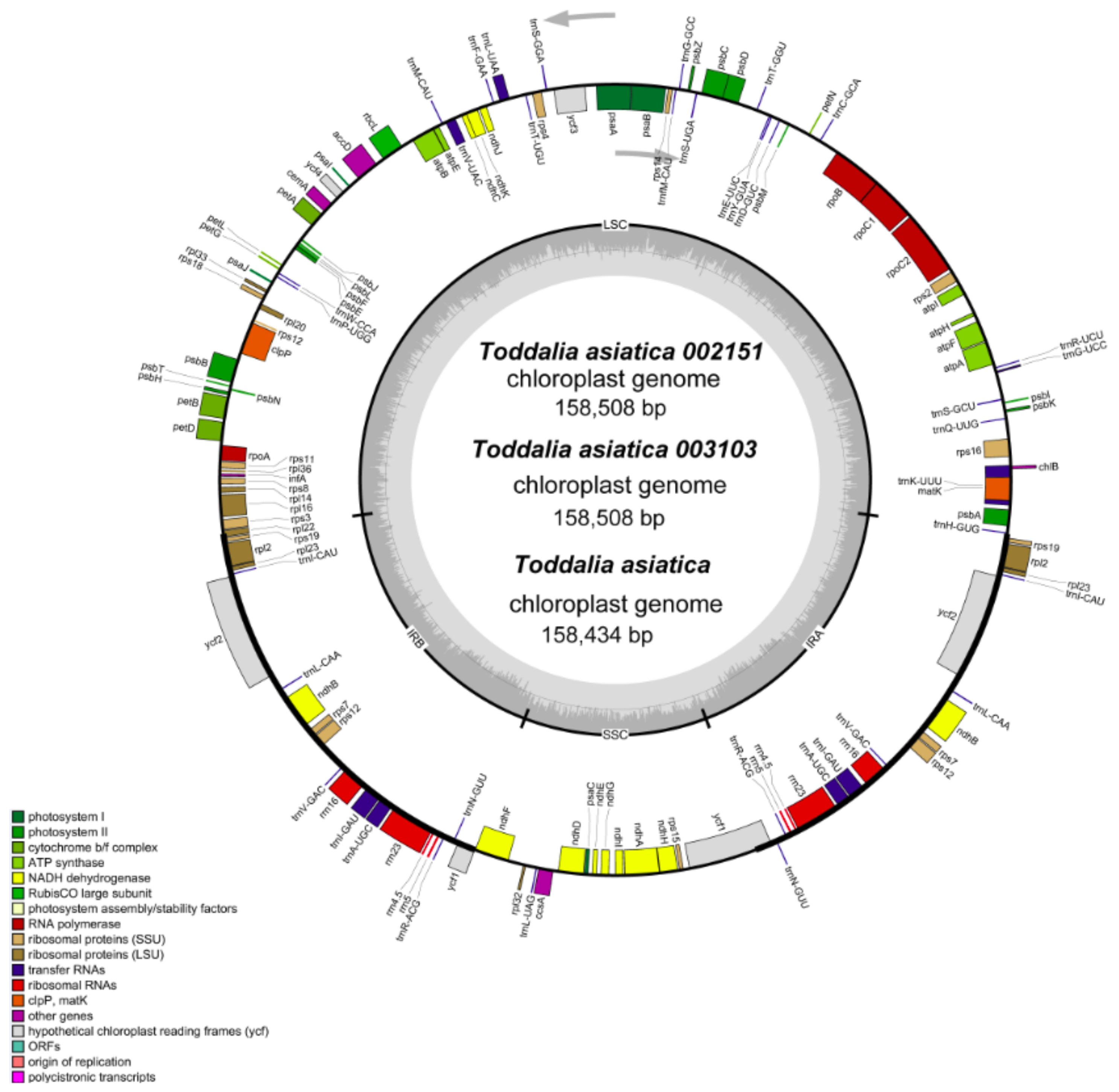 Plants 11 00231 g002