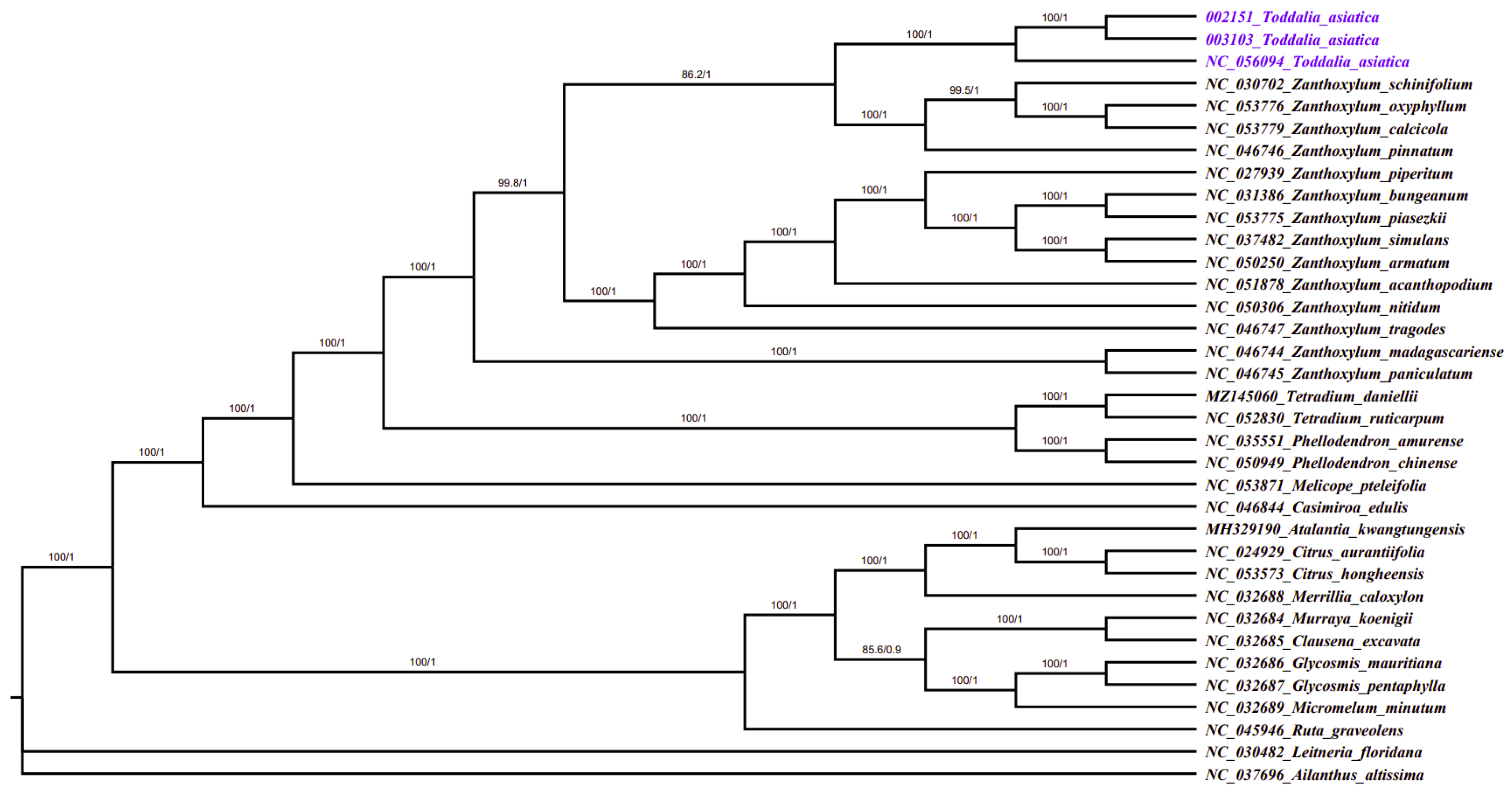 Plants 11 00231 g008