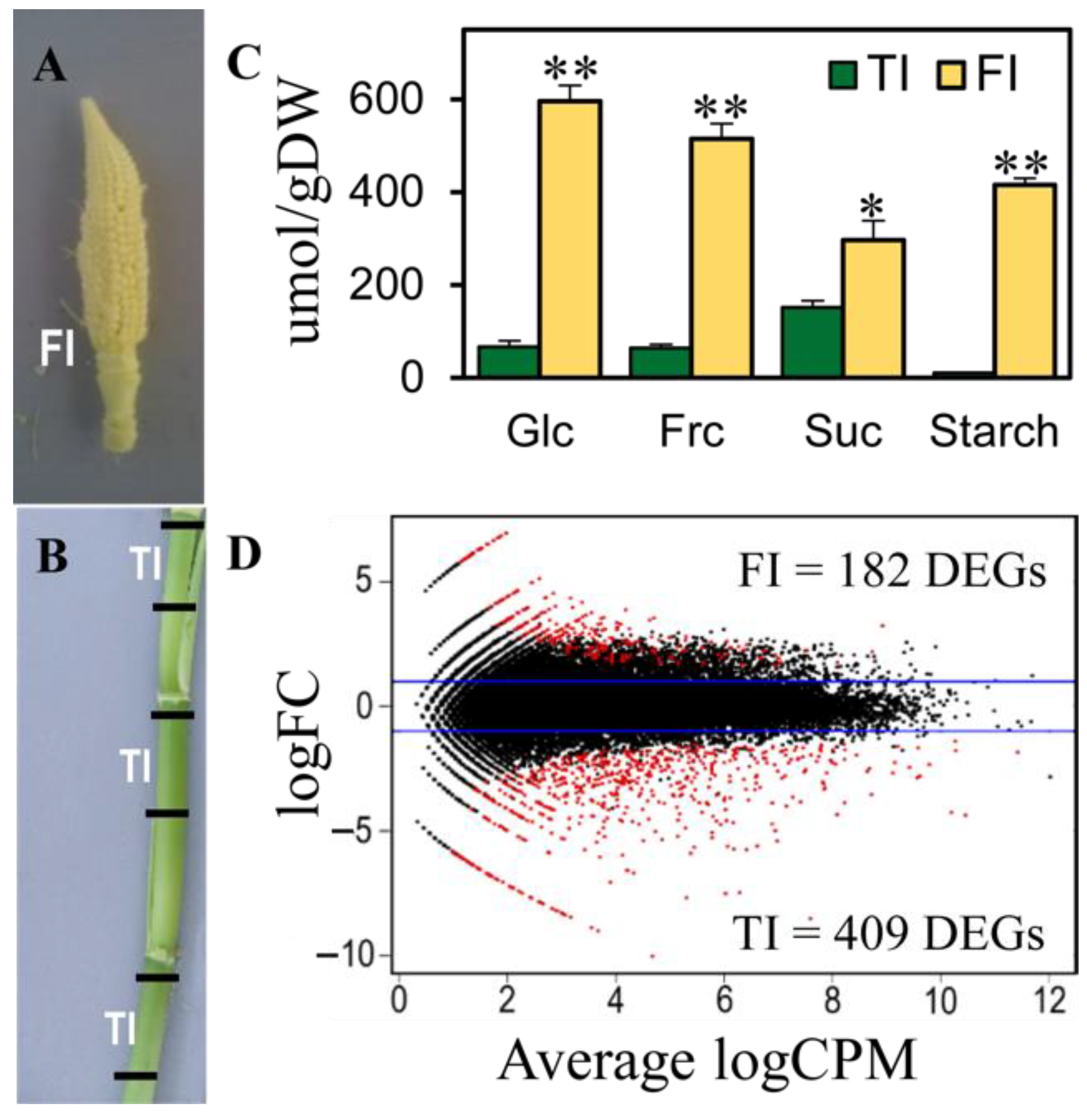 Plants 11 00238 g003