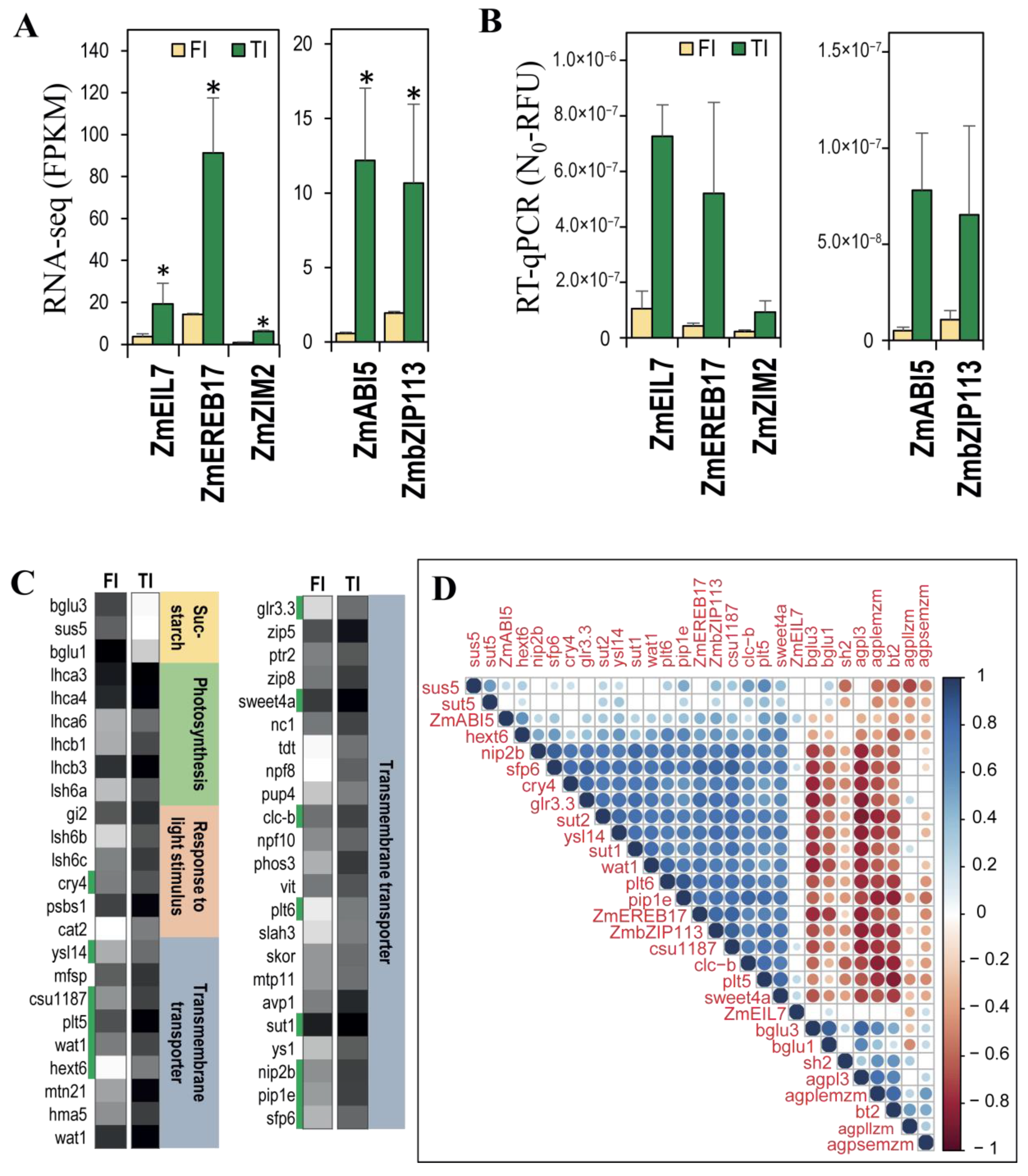 Plants 11 00238 g006