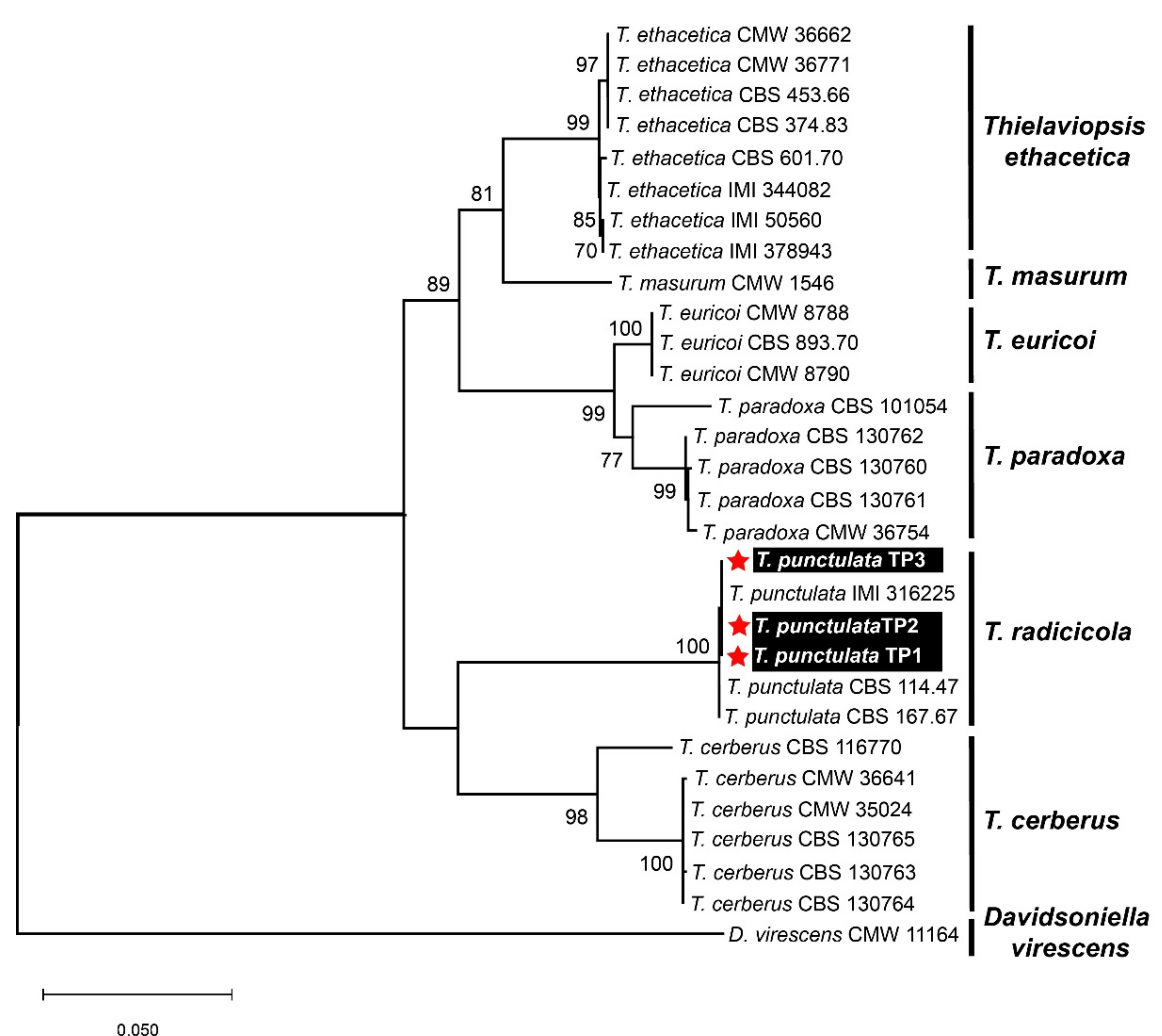 Plants 11 00250 g003