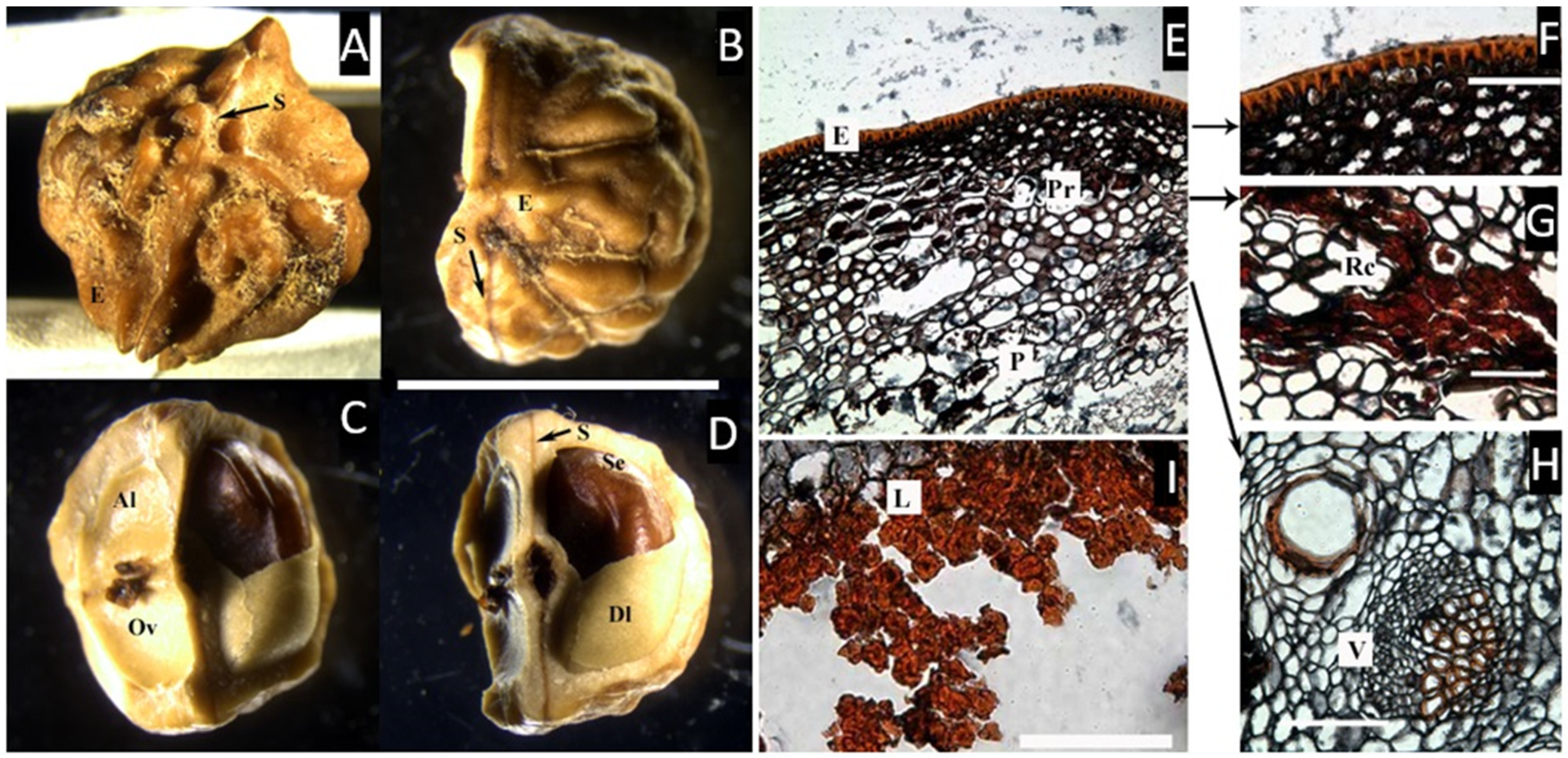 Plants 11 00253 g002