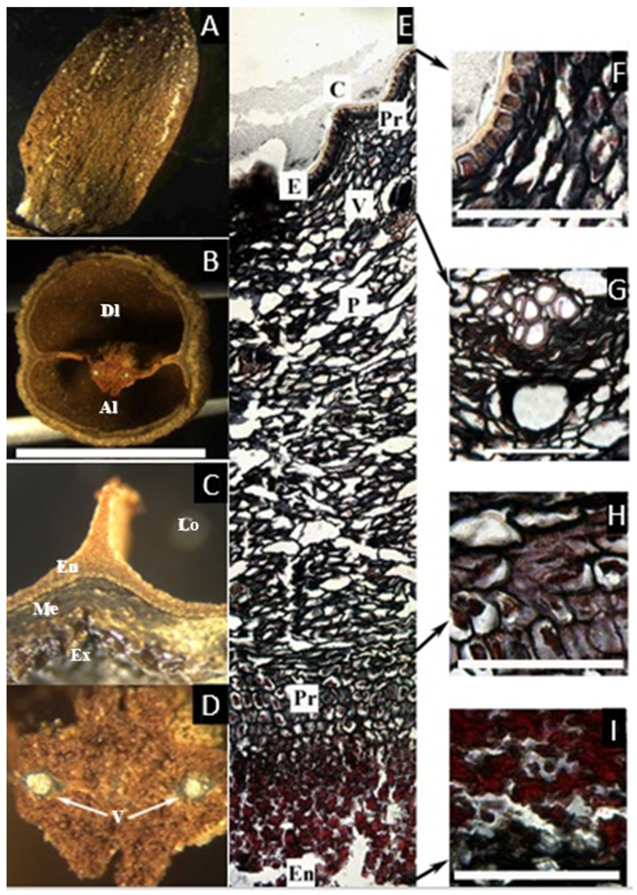 Plants 11 00253 g004