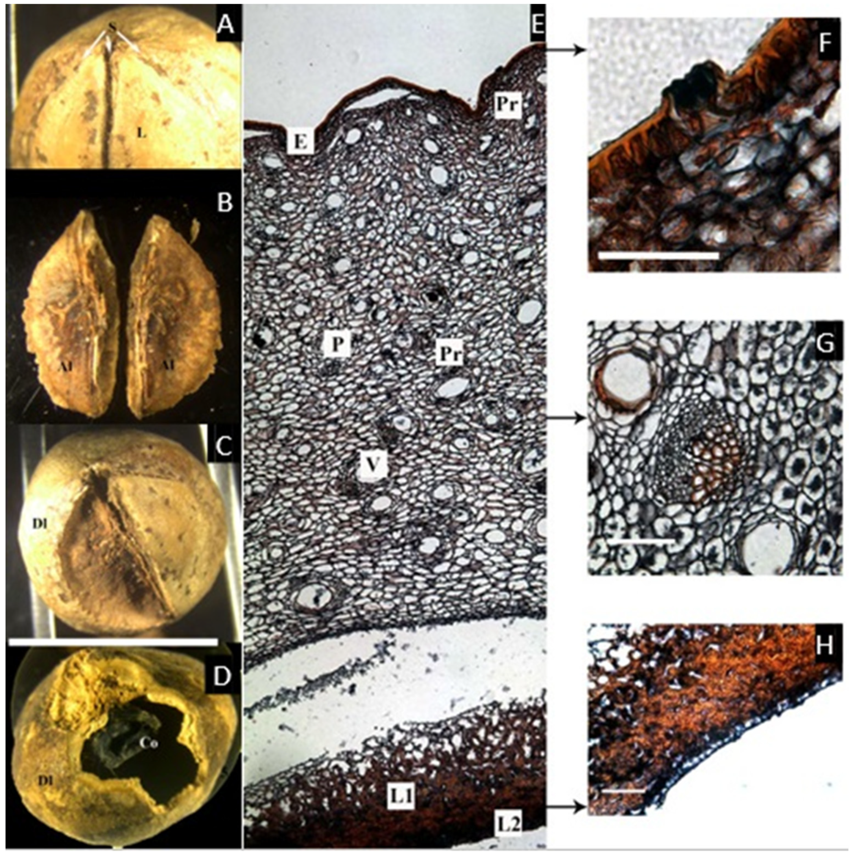 Plants 11 00253 g005