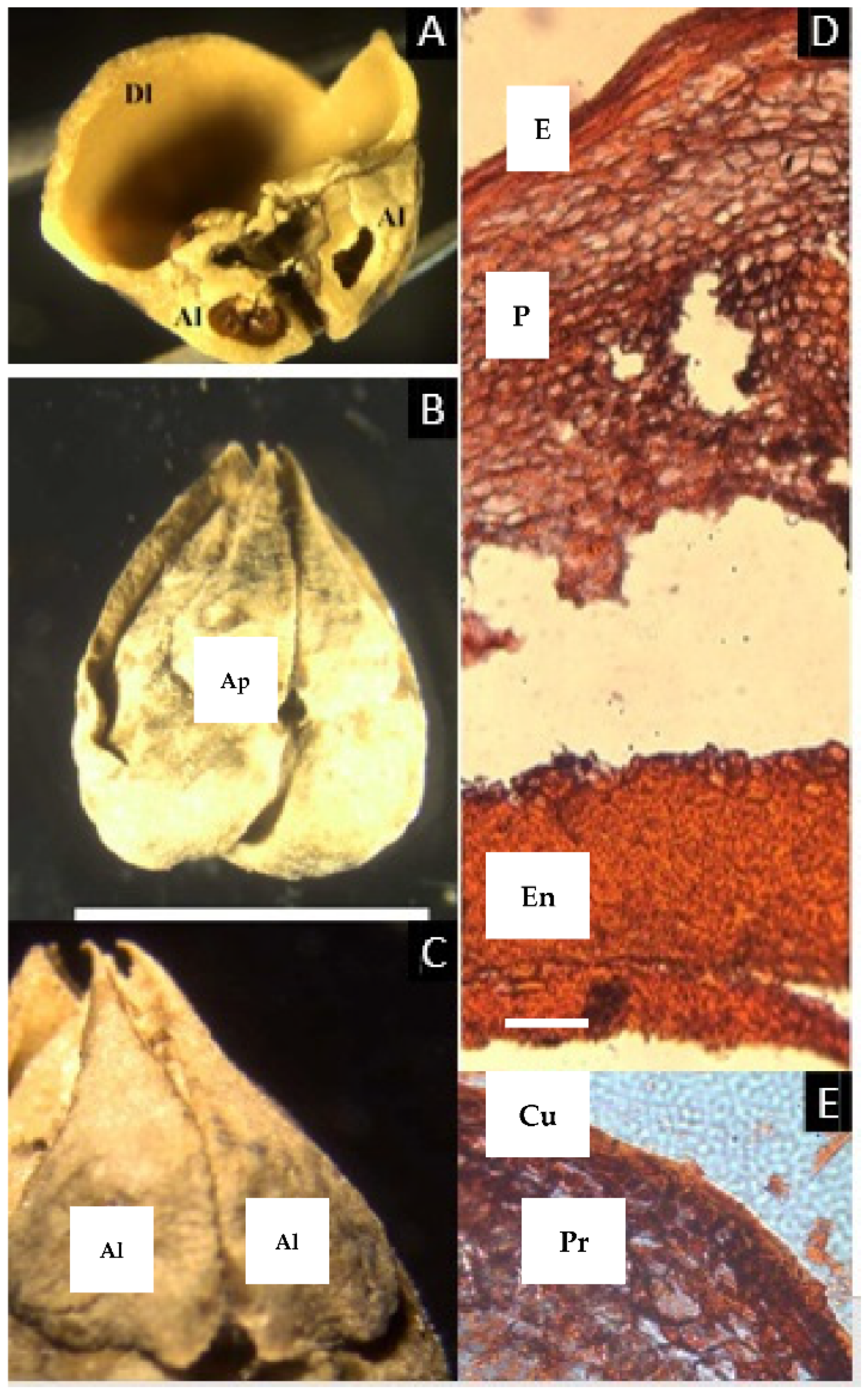 Plants 11 00253 g006