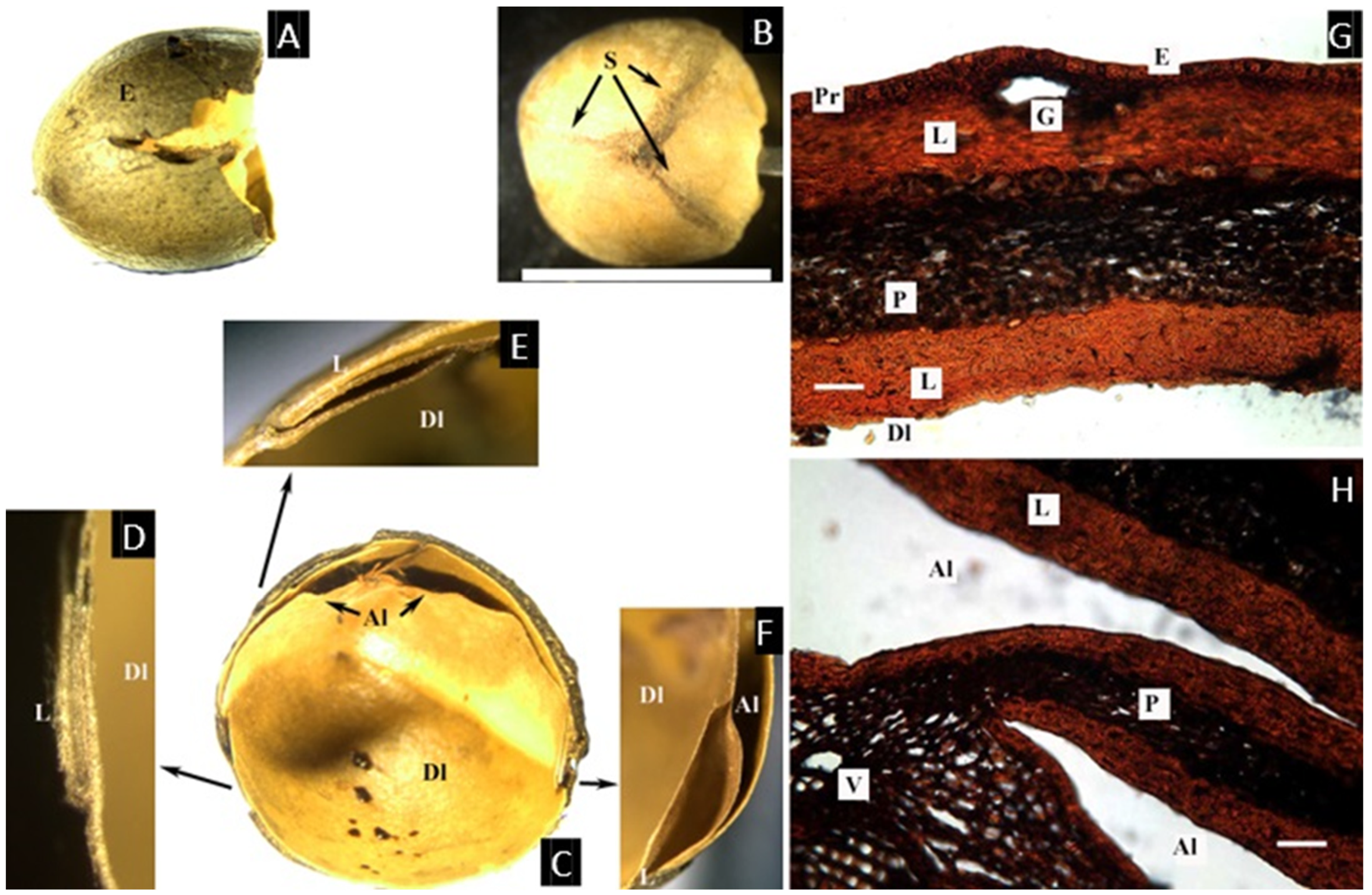 Plants 11 00253 g007