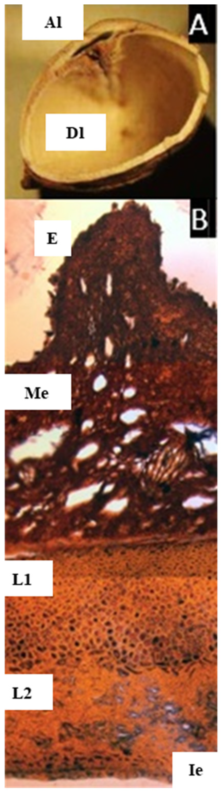 Plants 11 00253 g008