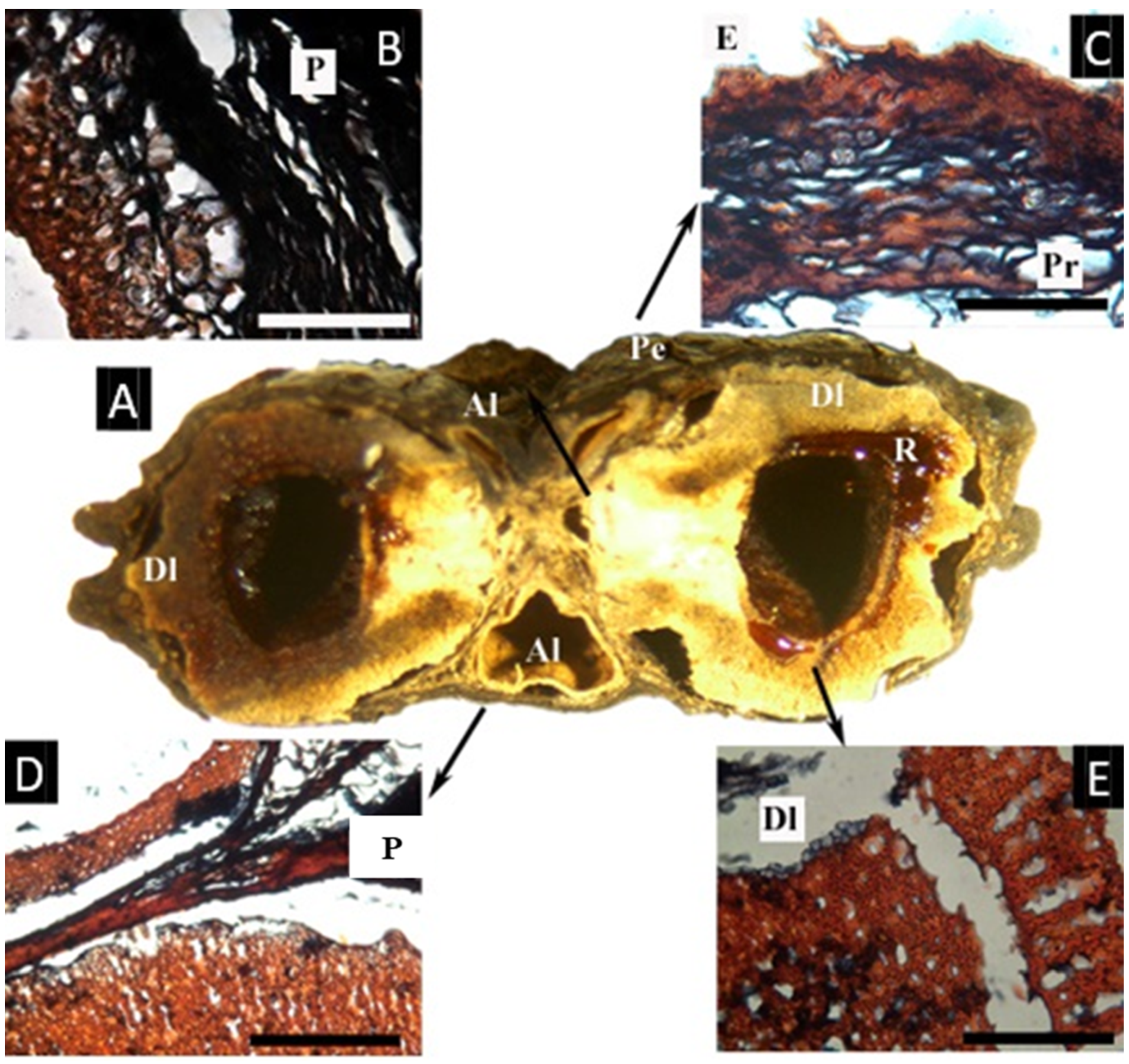 Plants 11 00253 g009
