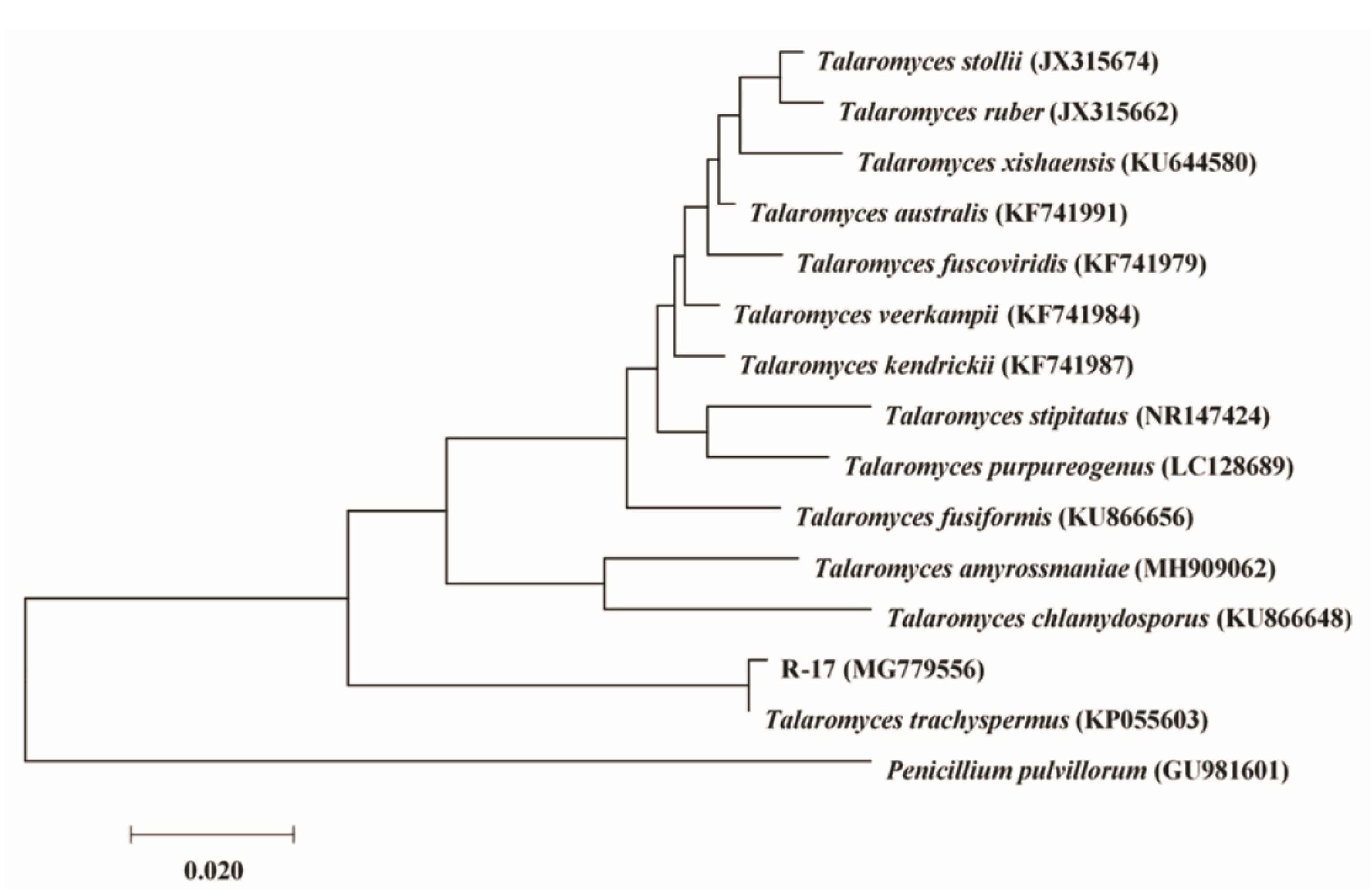 Plants 11 00255 g004