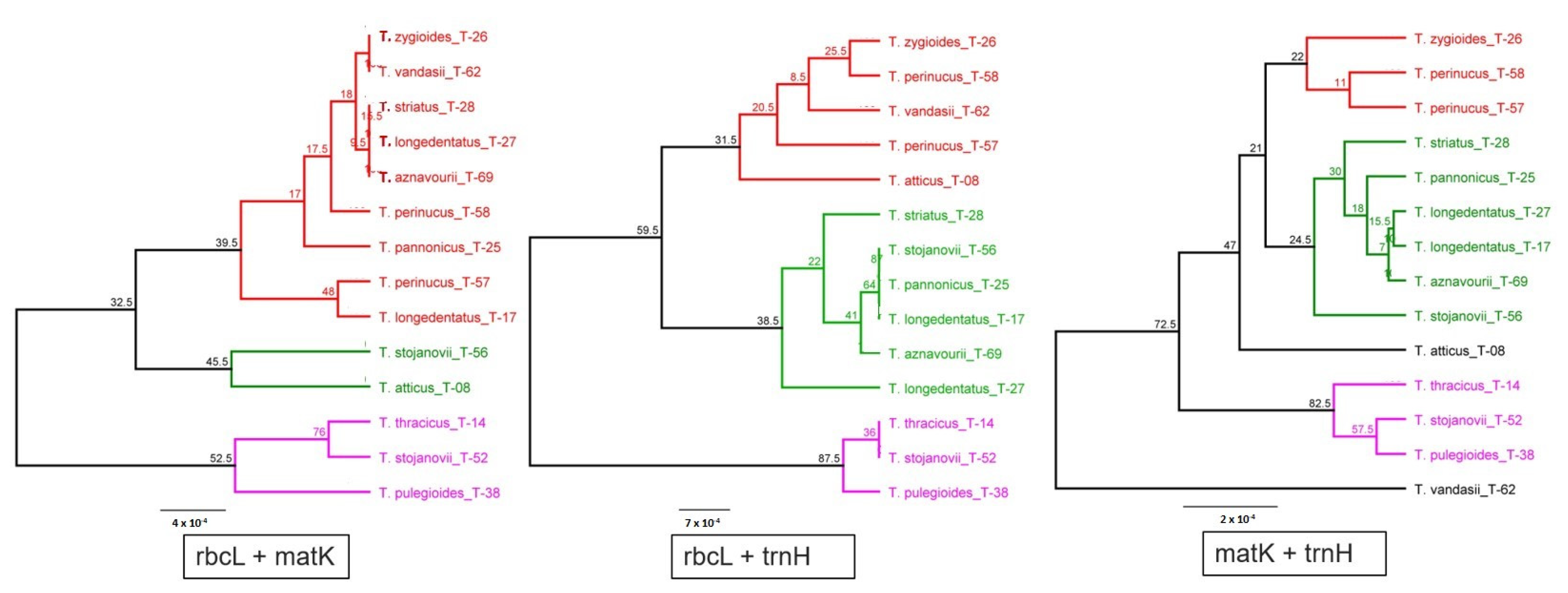Plants 11 00270 g002