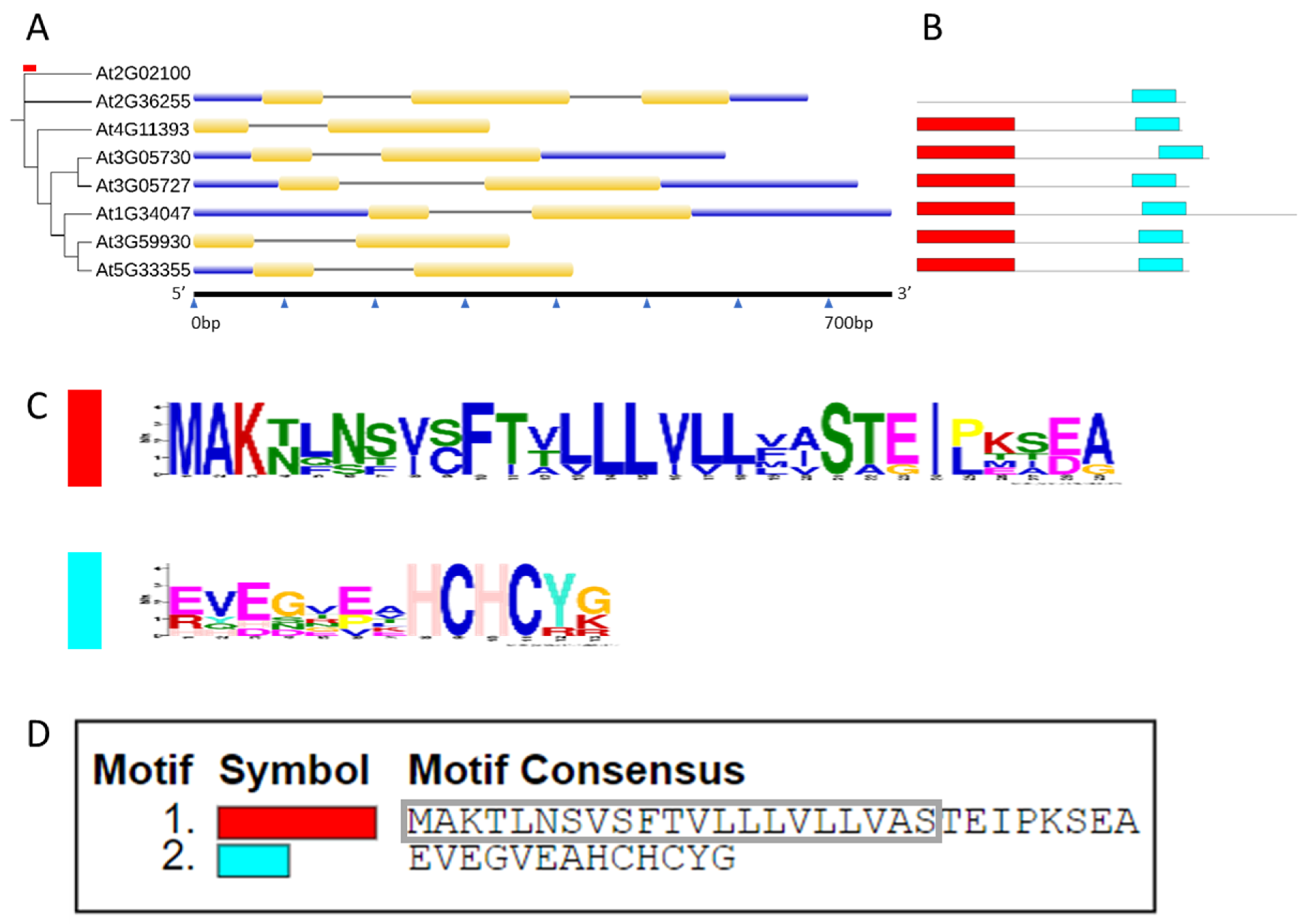 Plants 11 00280 g004