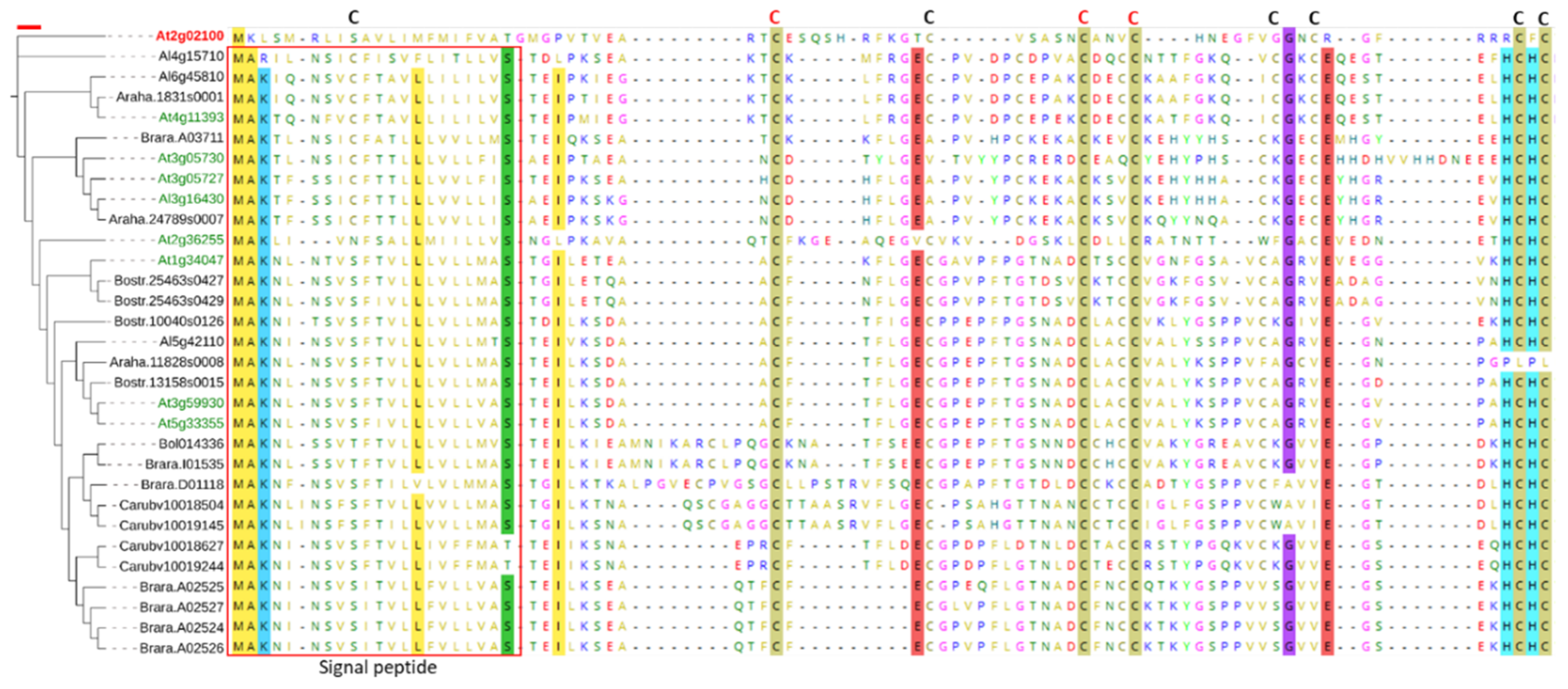 Plants 11 00280 g005