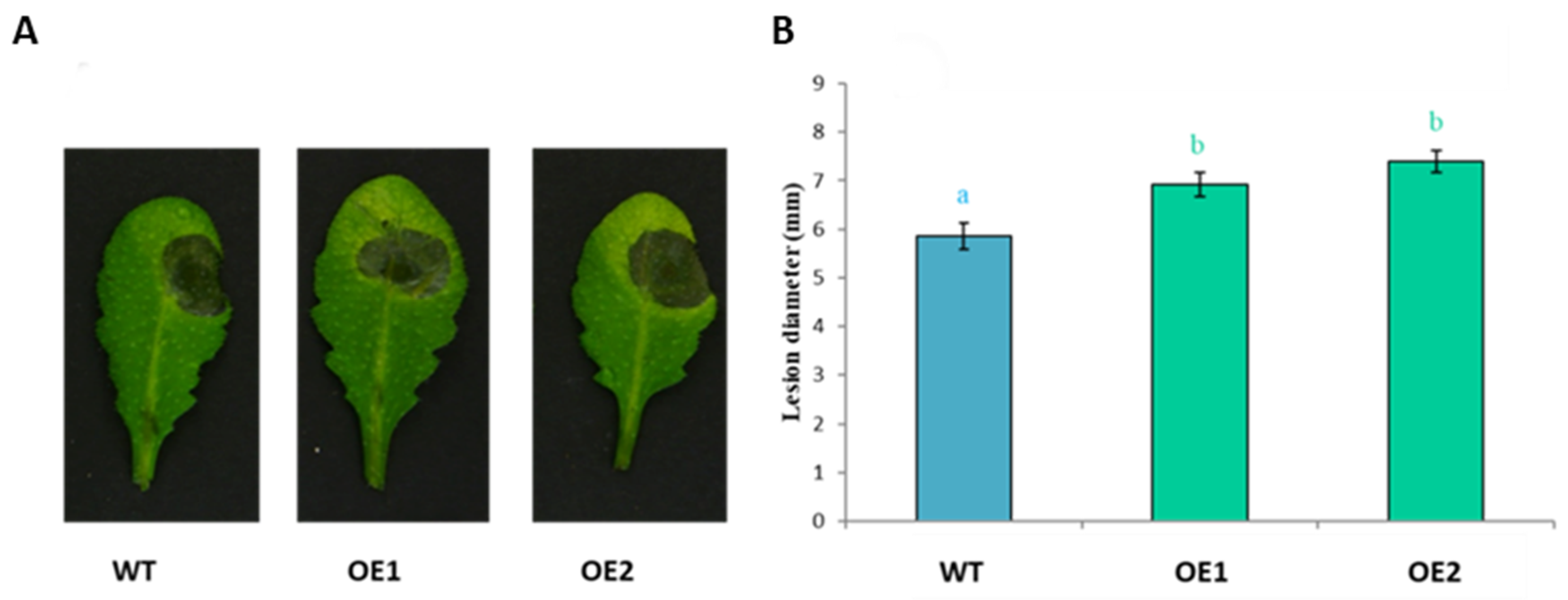 Plants 11 00280 g013