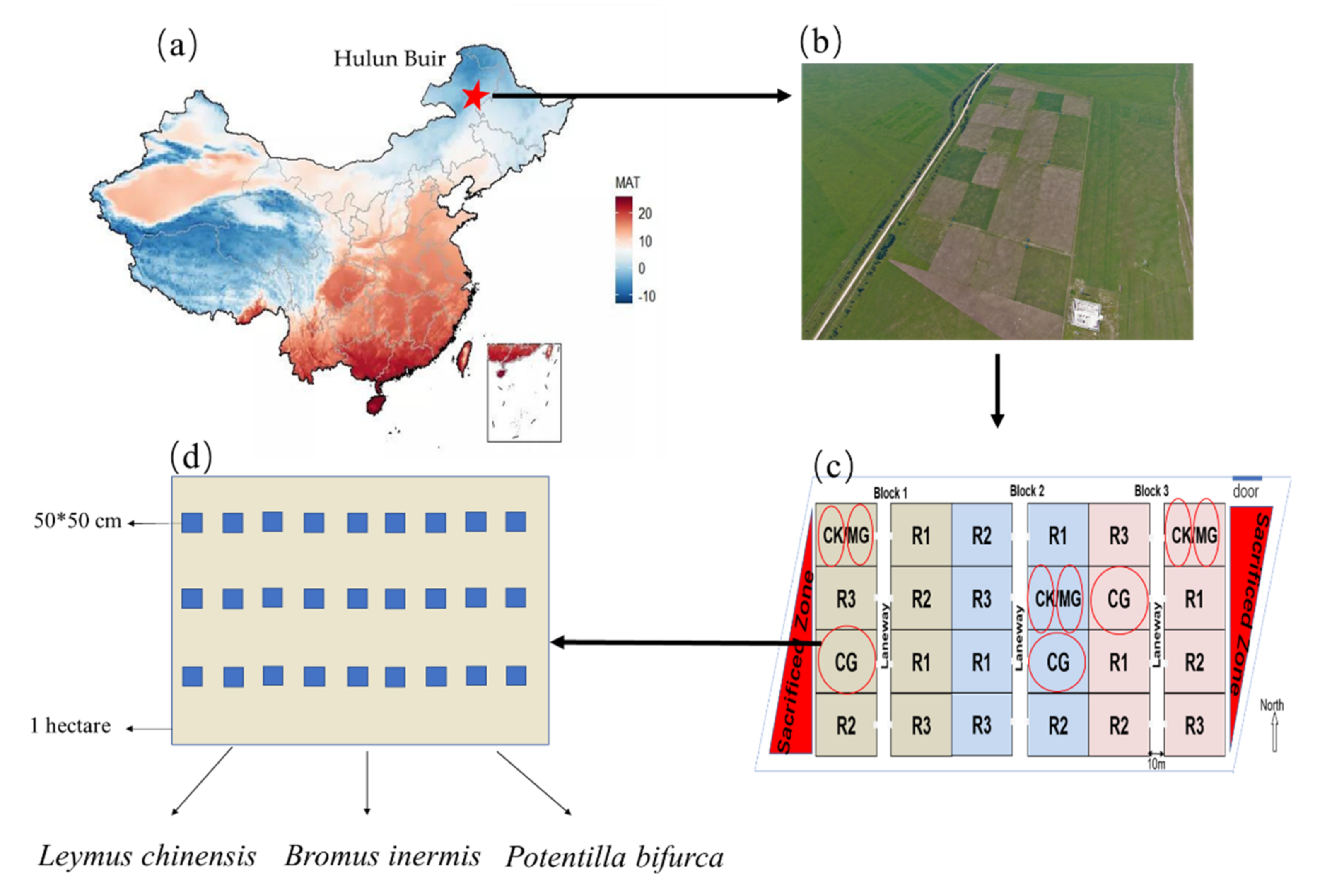 Plants 11 00286 g006