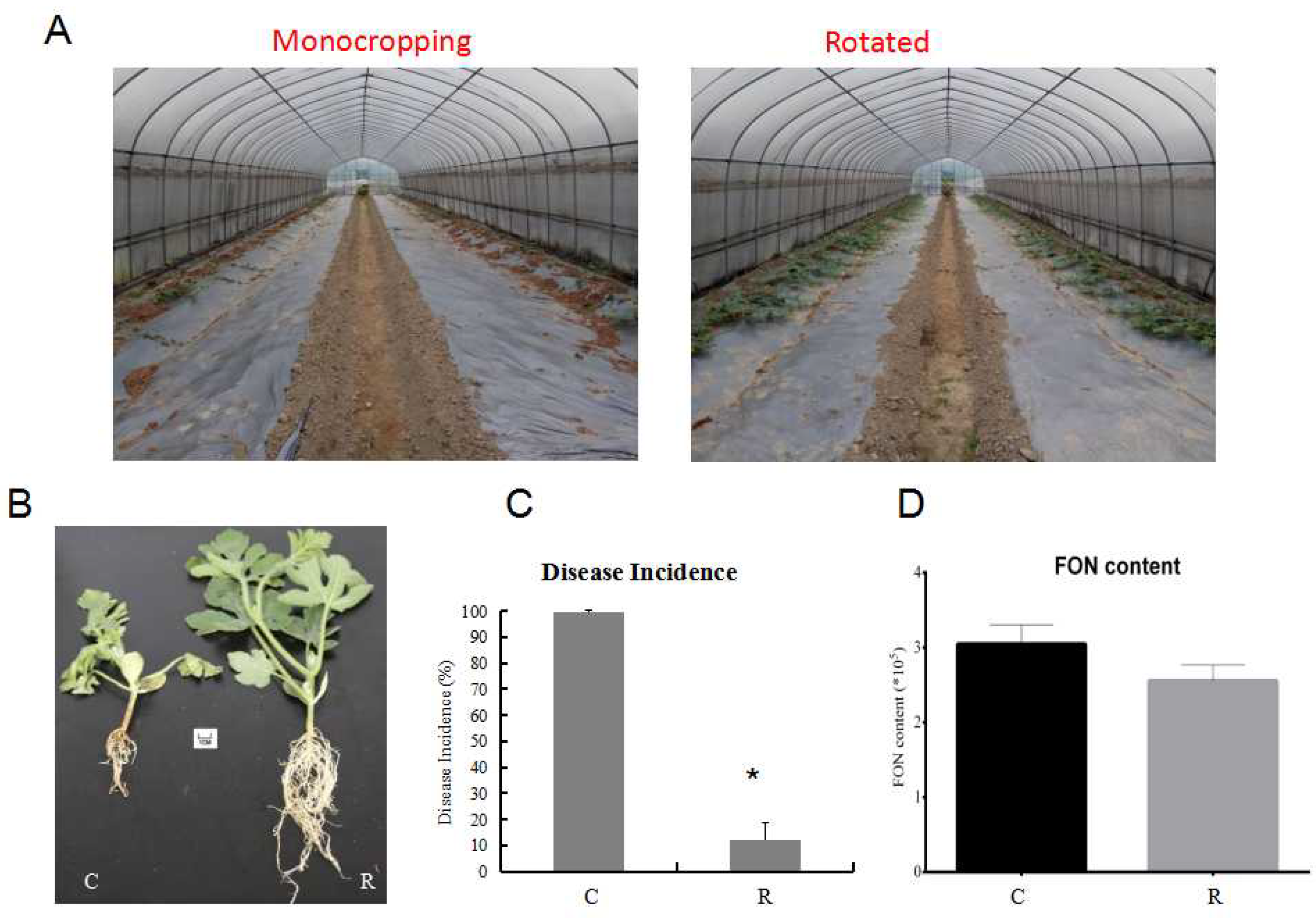 Plants 11 00293 g002
