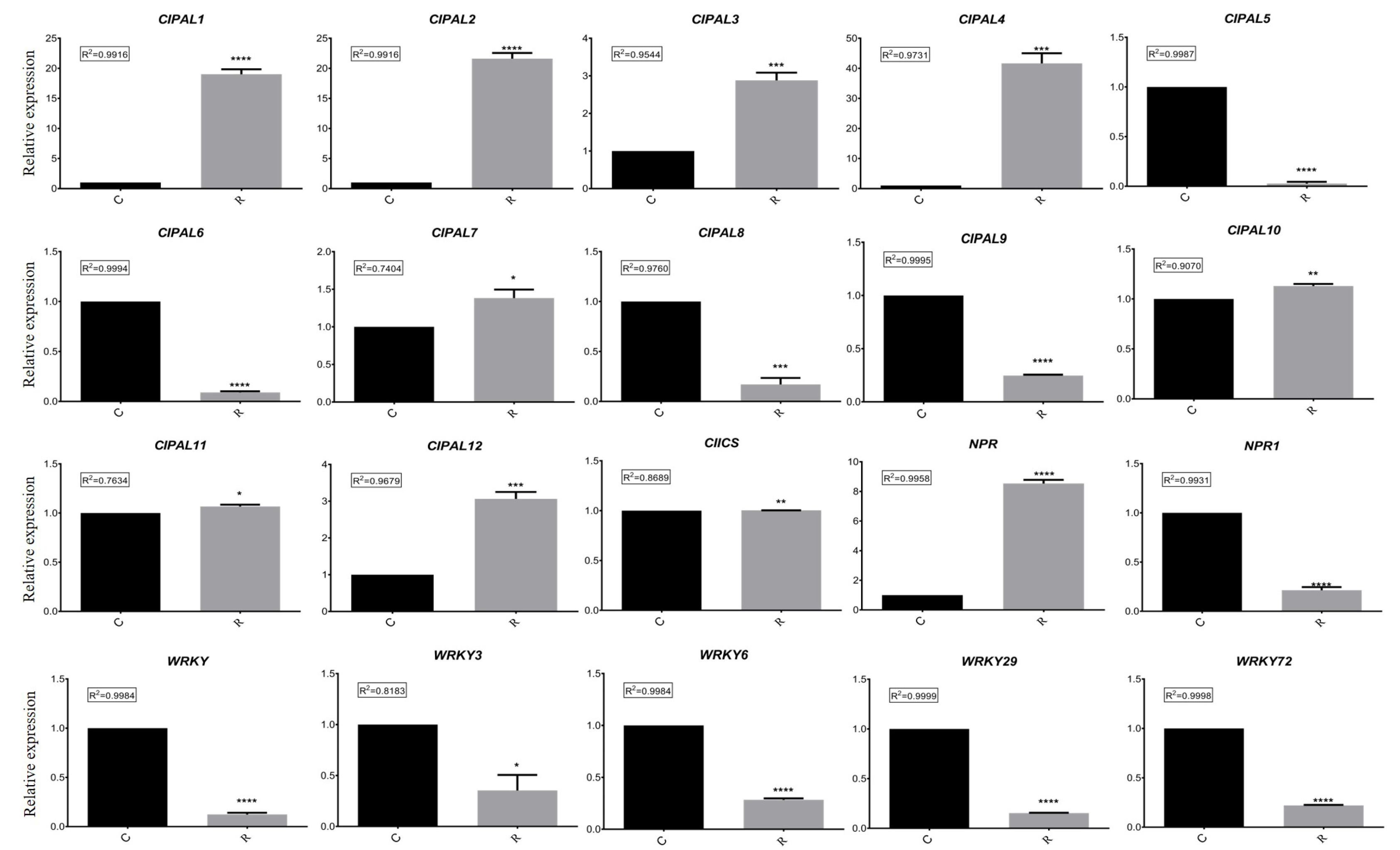 Plants 11 00293 g006