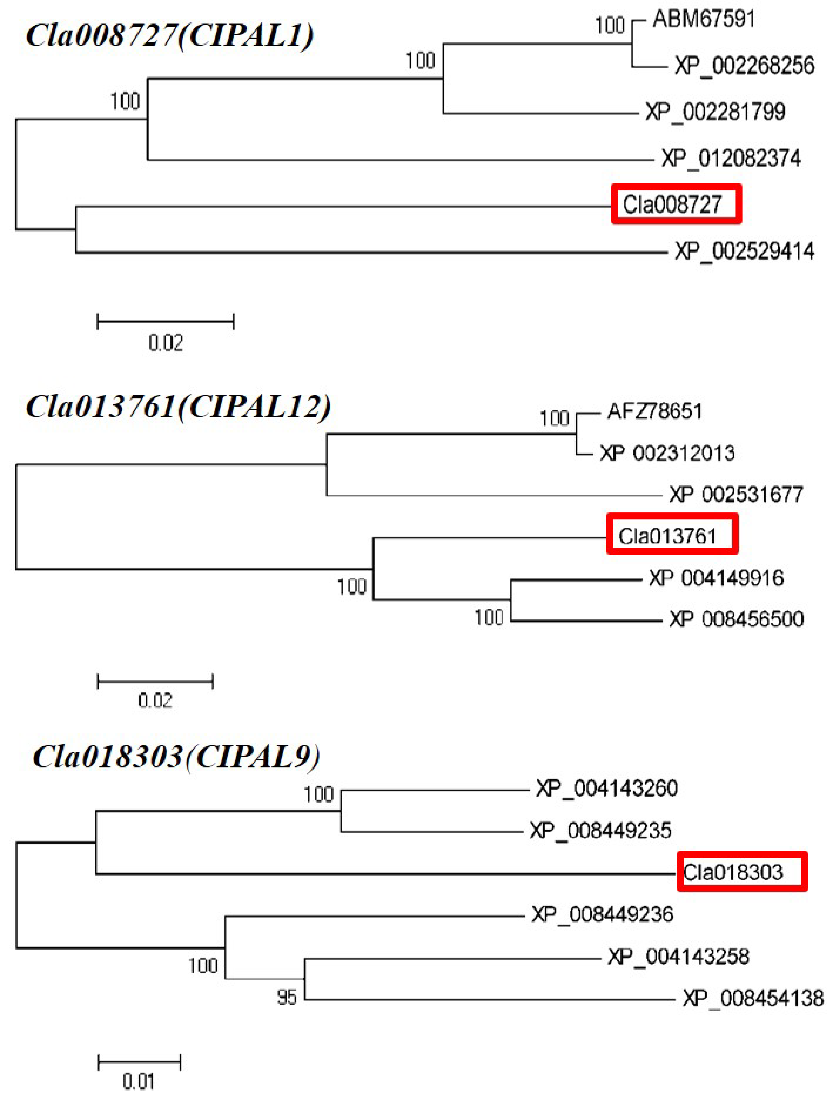 Plants 11 00293 g007