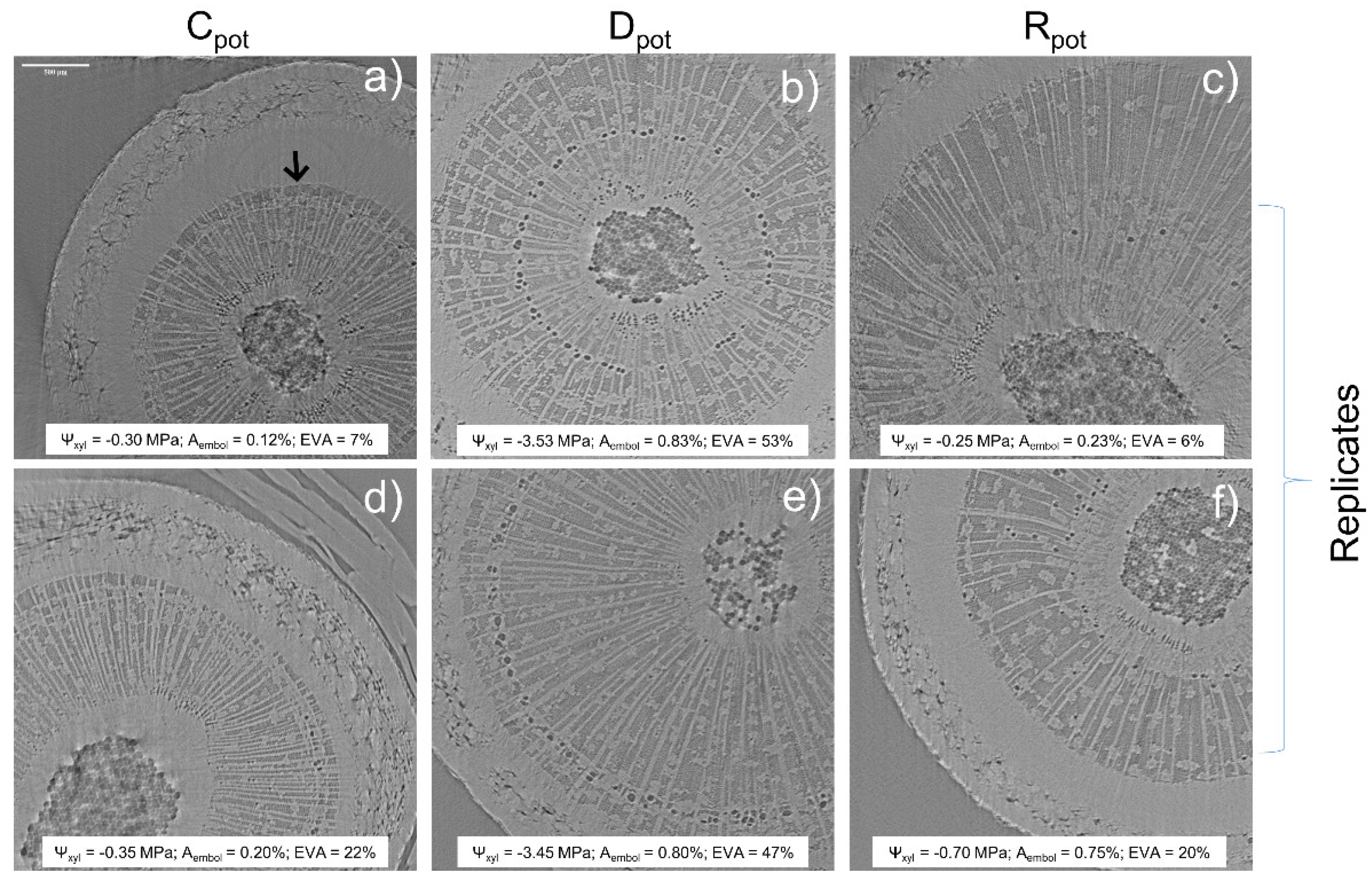 Plants 11 00307 g003
