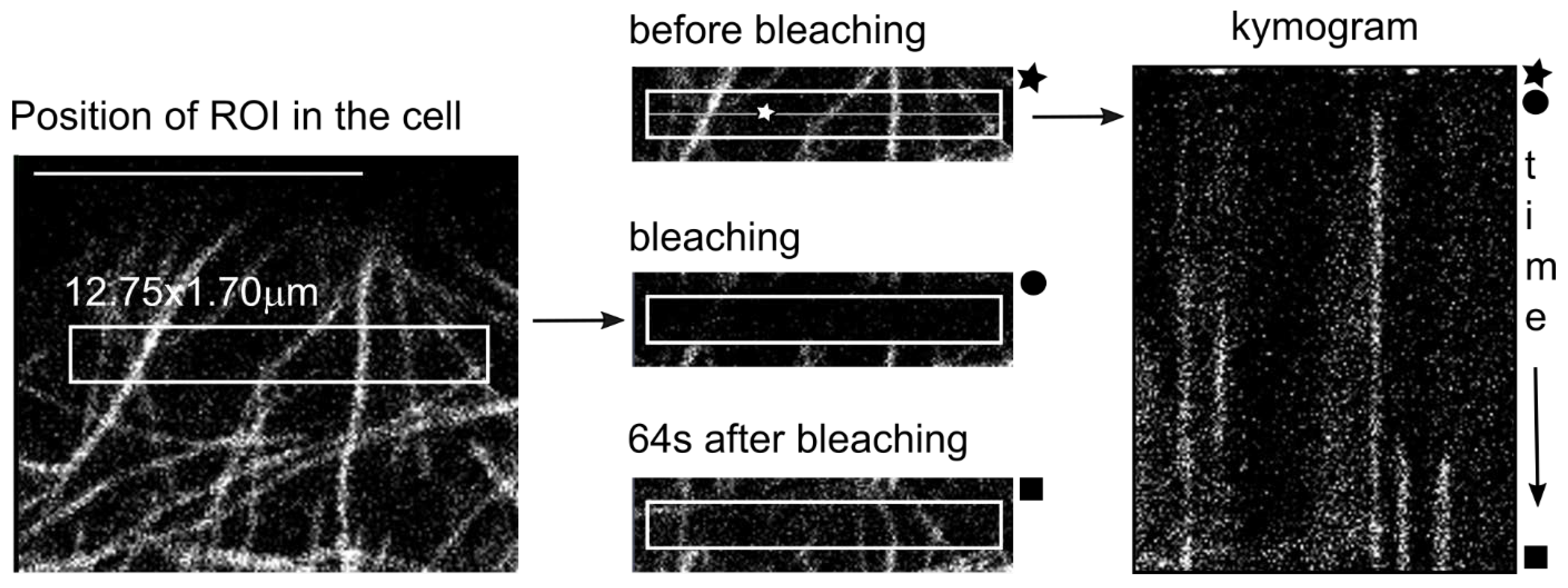 Plants 11 00313 g007