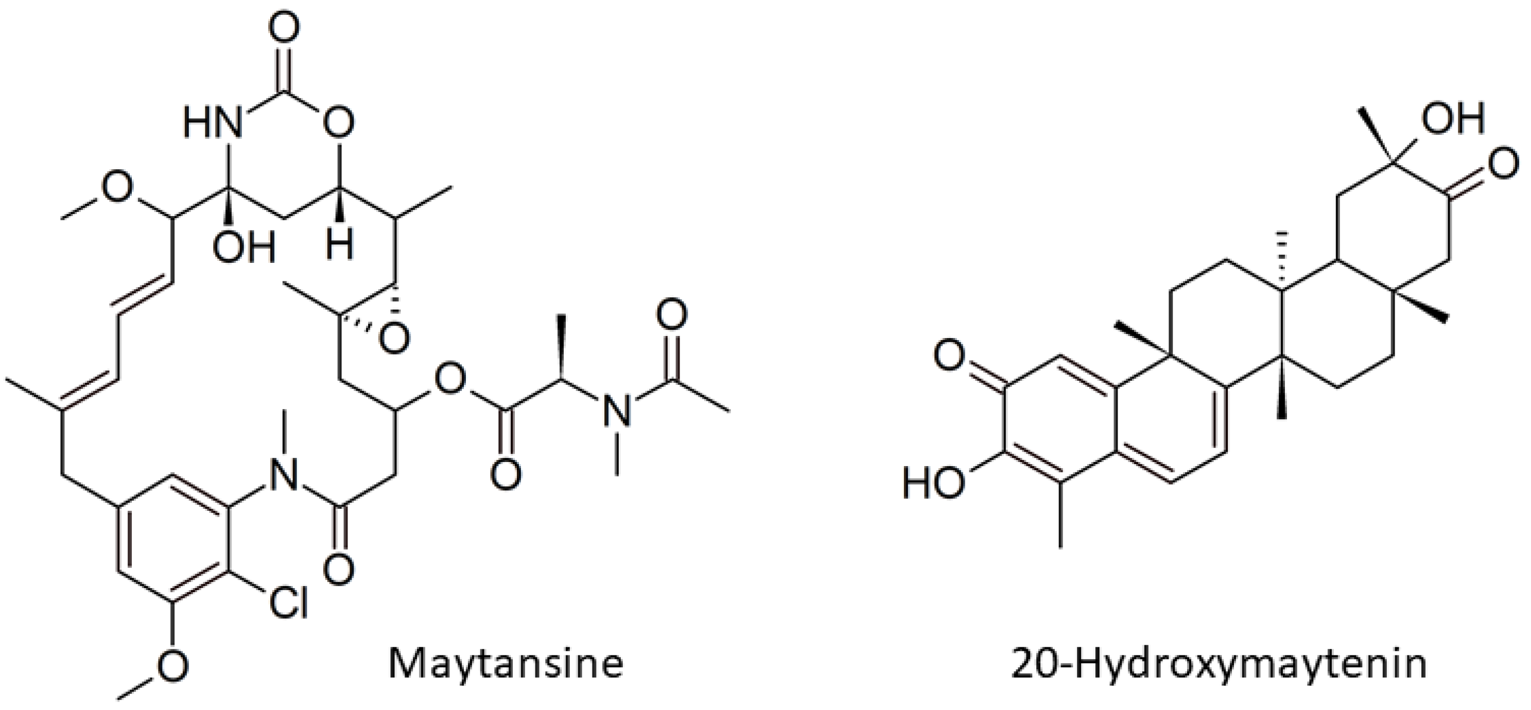 Plants 11 00321 g001
