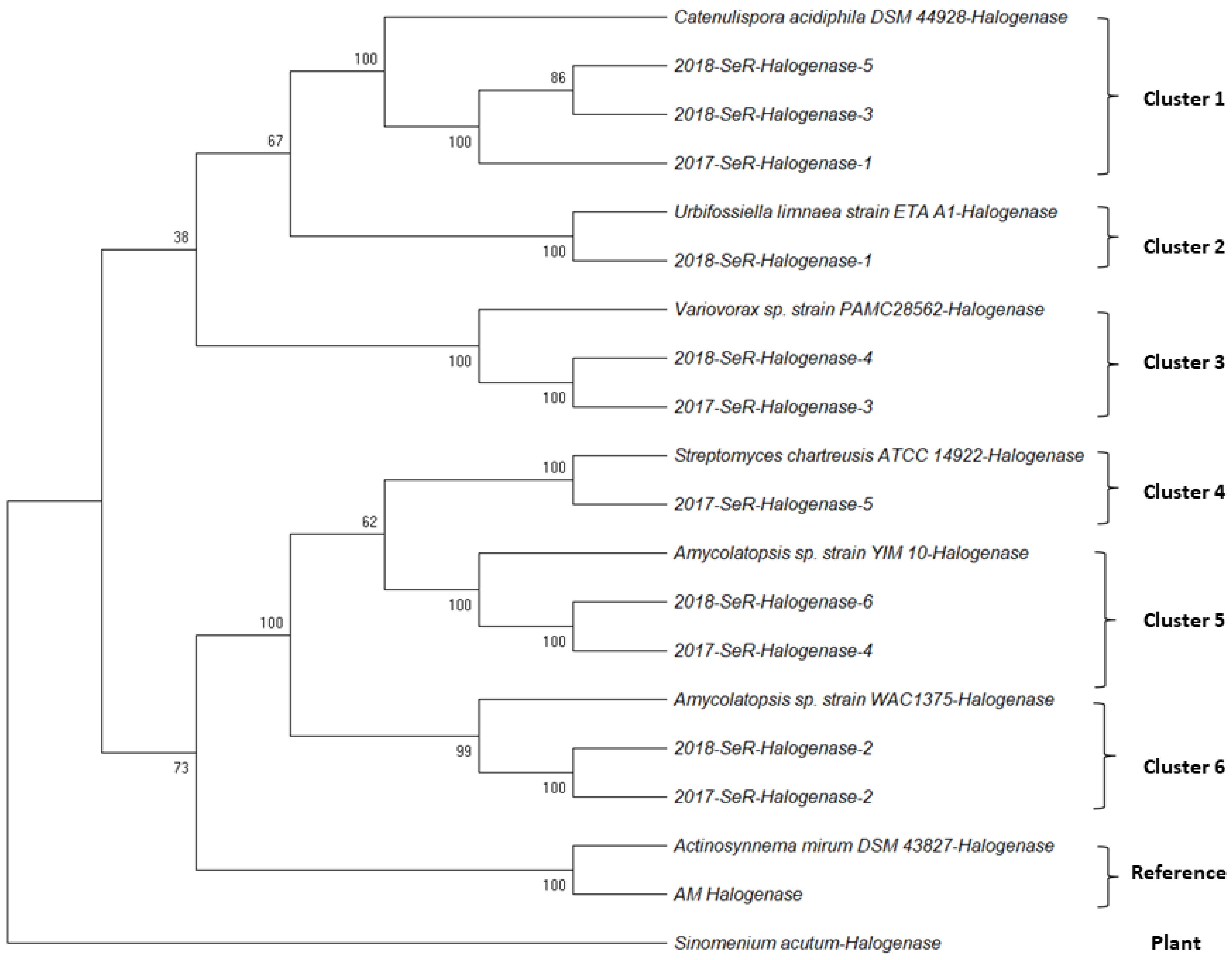 Plants 11 00321 g005