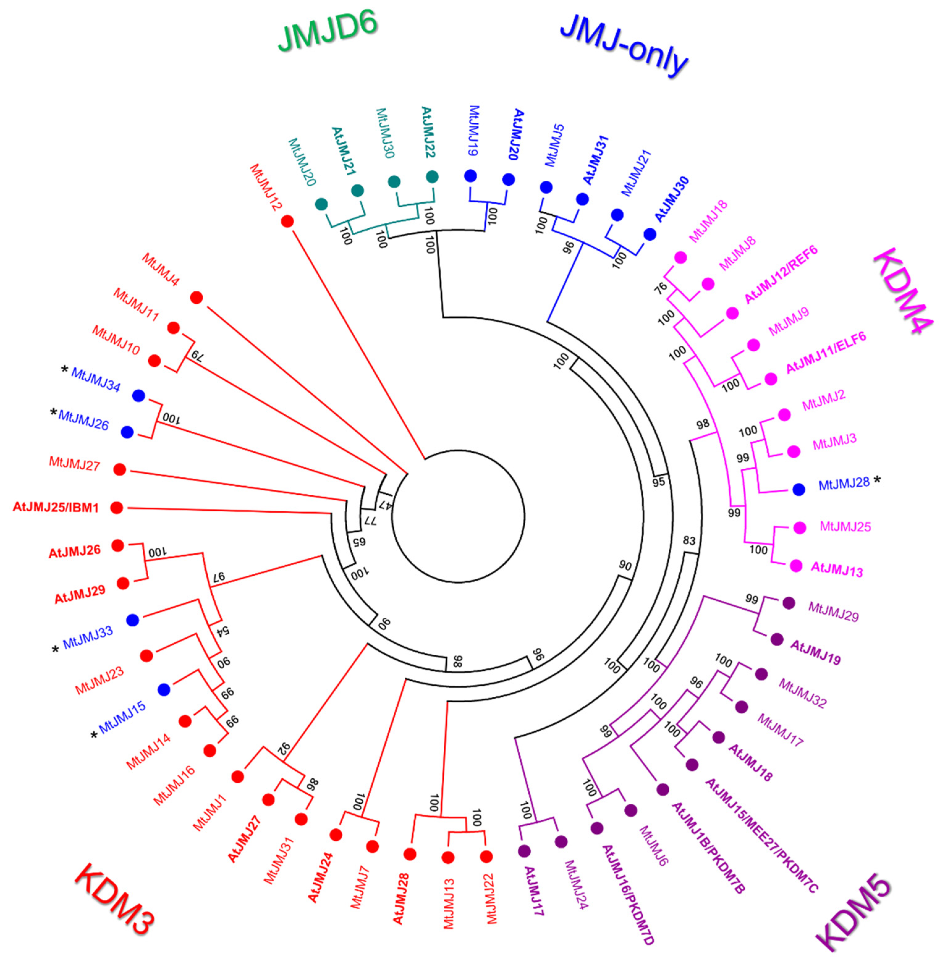 Plants 11 00322 g003