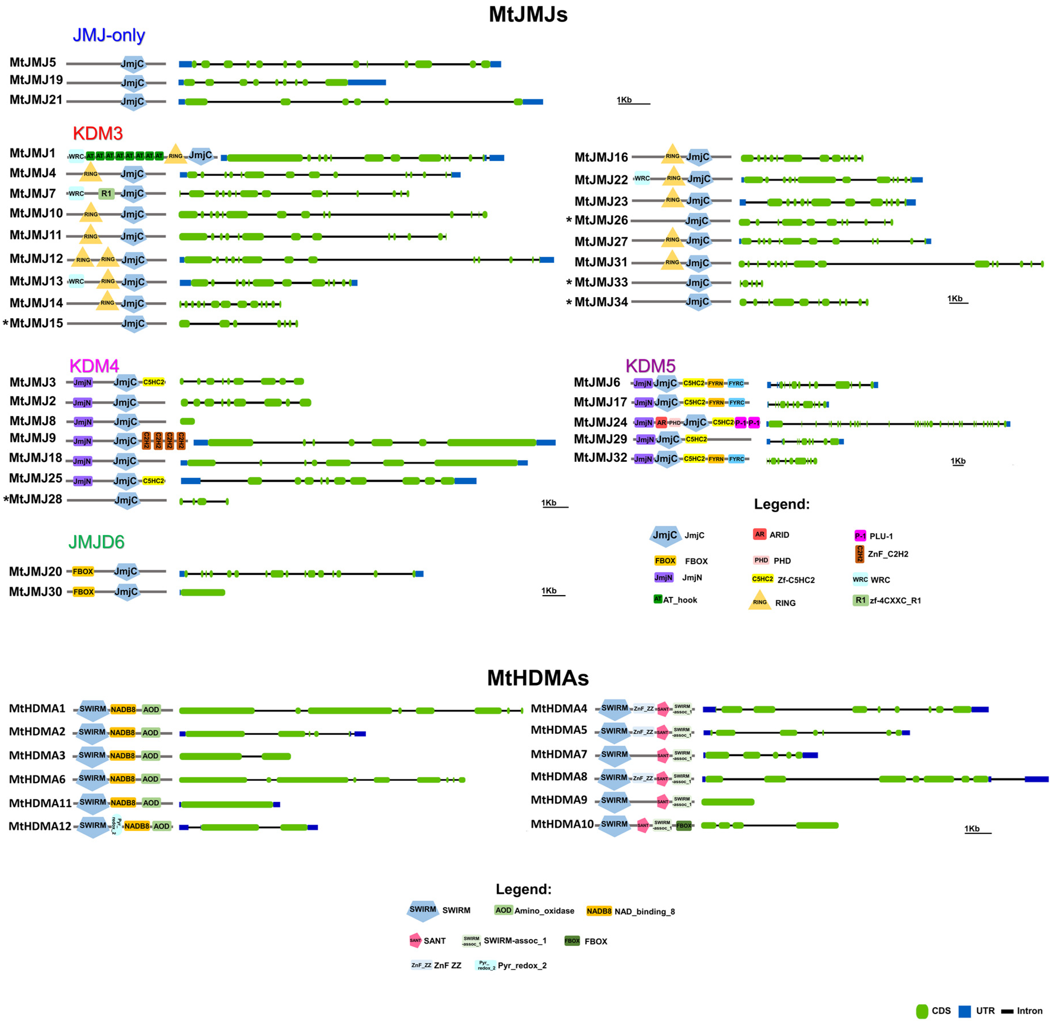 Plants 11 00322 g004