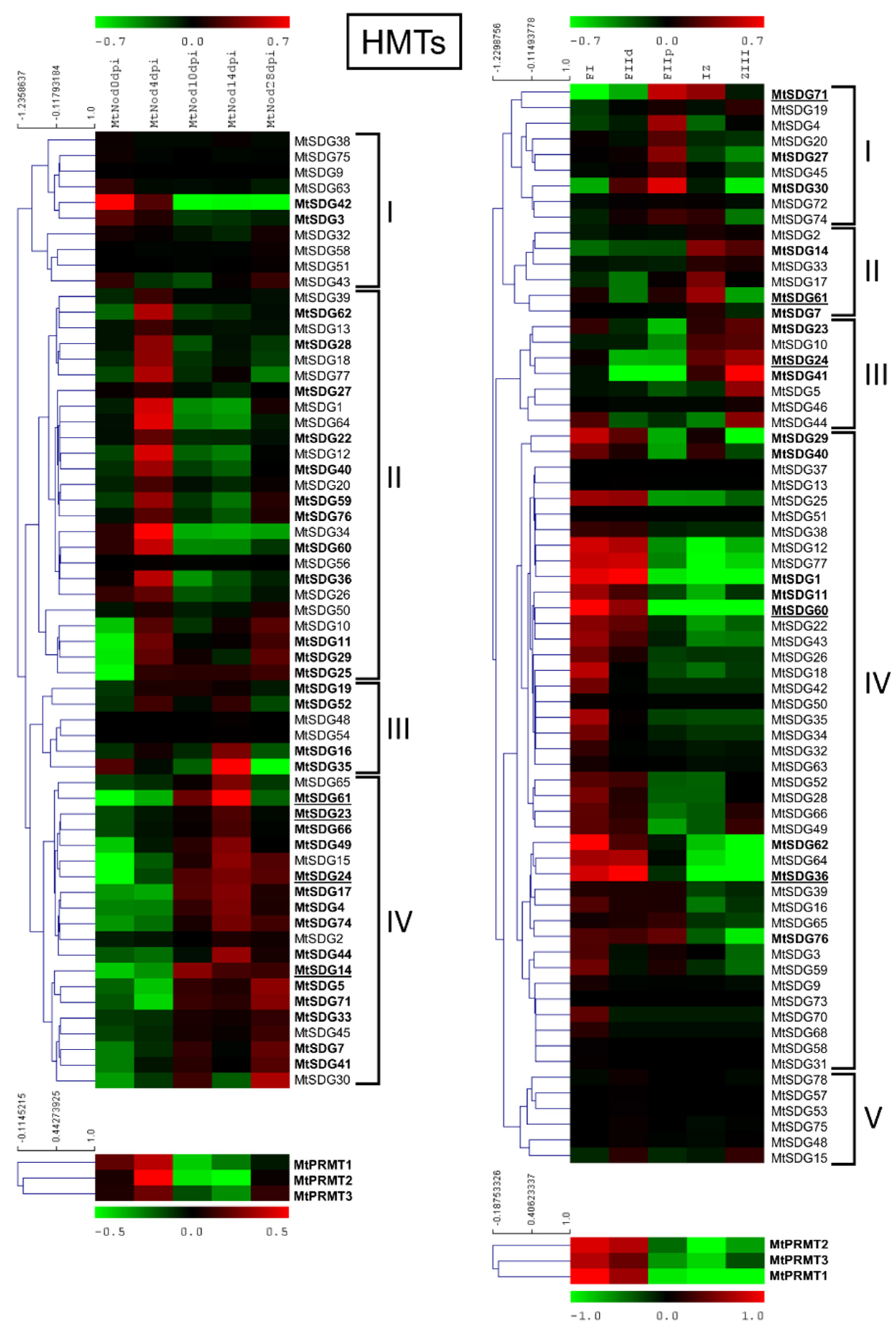 Plants 11 00322 g006