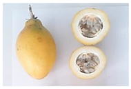 Plants 11 00328 i005