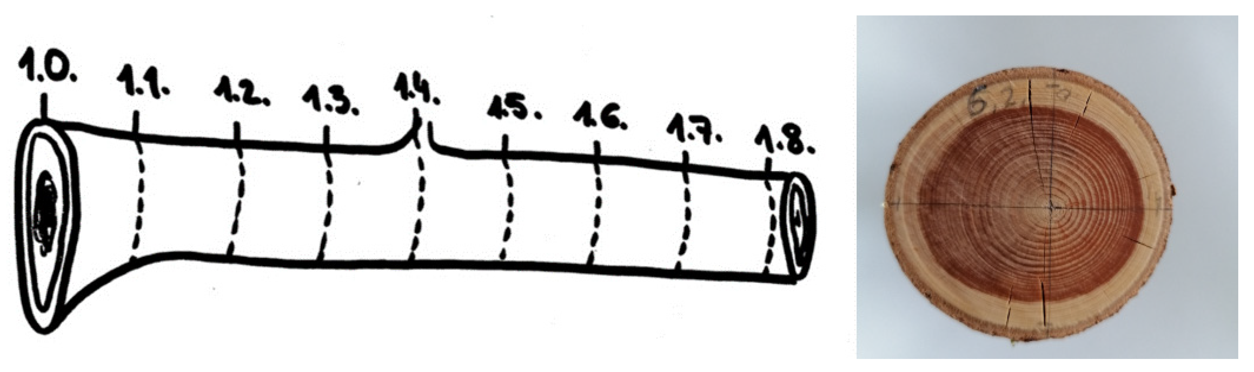 Plants 11 00333 g003