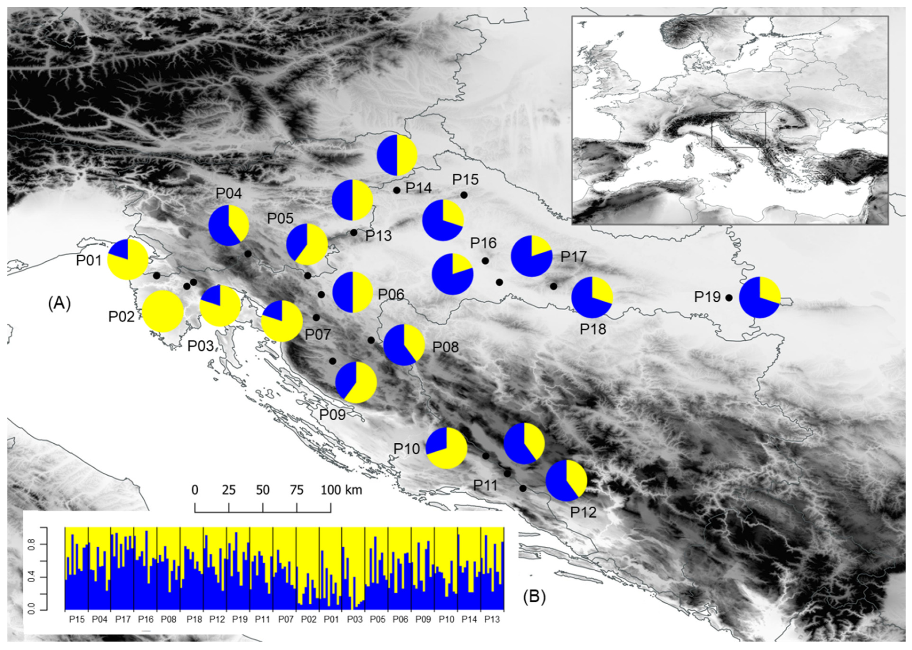 Plants 11 00335 g001