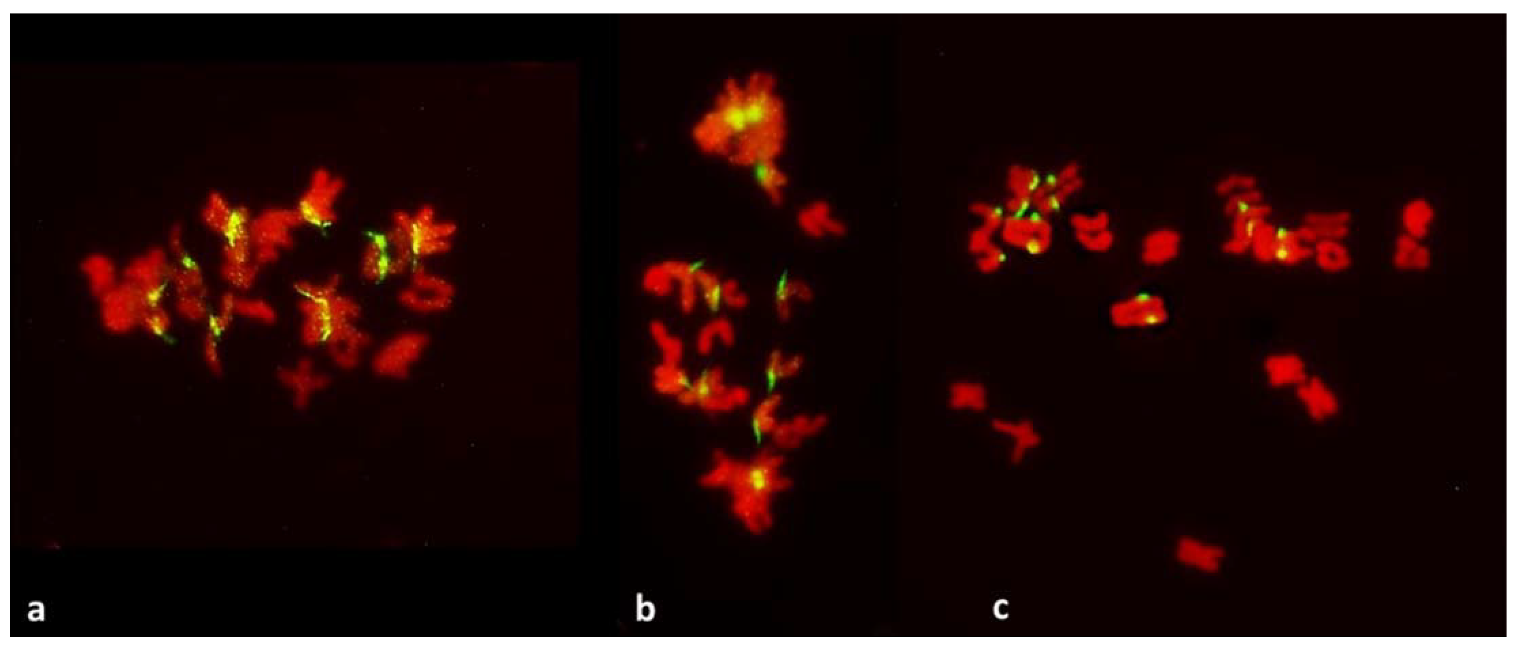 Plants 11 00337 g005